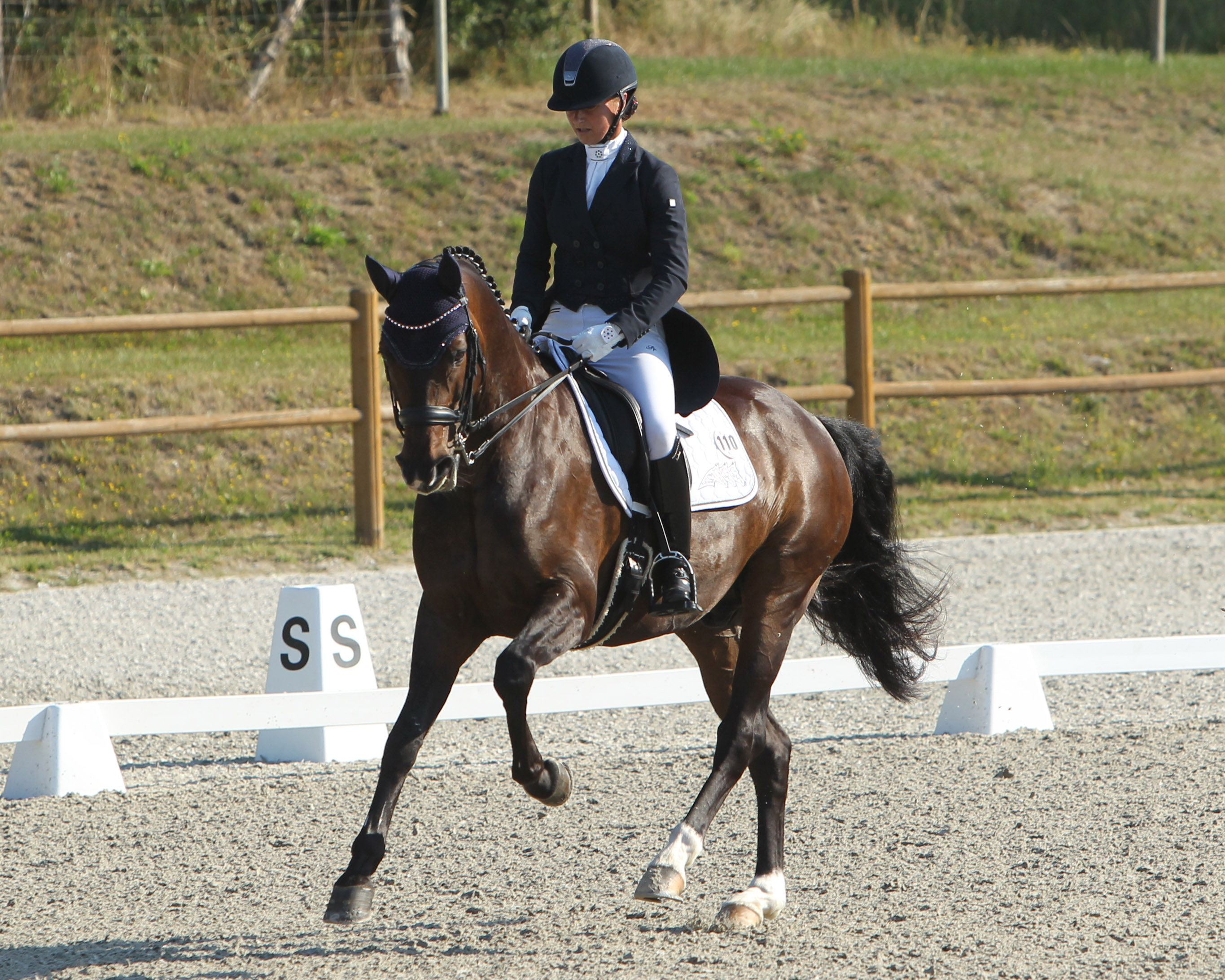 Den 2. Platz im Ranking der Mecklenburger Dressurpferde nimmt der 13-jährige San Amour ein, gezogen von Willi Elsner (Laage). Hier mit seiner Reiterin Susanne Voß aus Laage. © Jutta Wego
