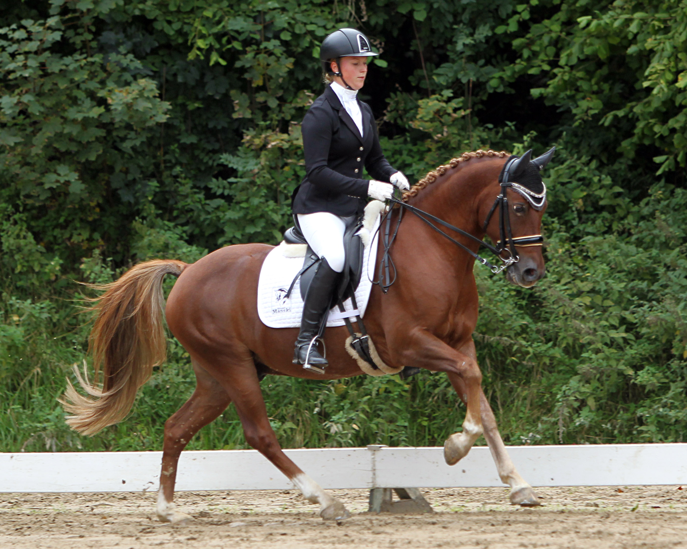 Erfolgreichstes Mecklenburger Pony in Dressur und insgesamt war der 11-jährige Domino (Top Dubidu/Don Joshi AT), gezogen von Elke & Armin Spierling (Neuenkirchen/Leist). Hier mit Ann-Christin Mehl aus Dierhagen. © Jutta Wego