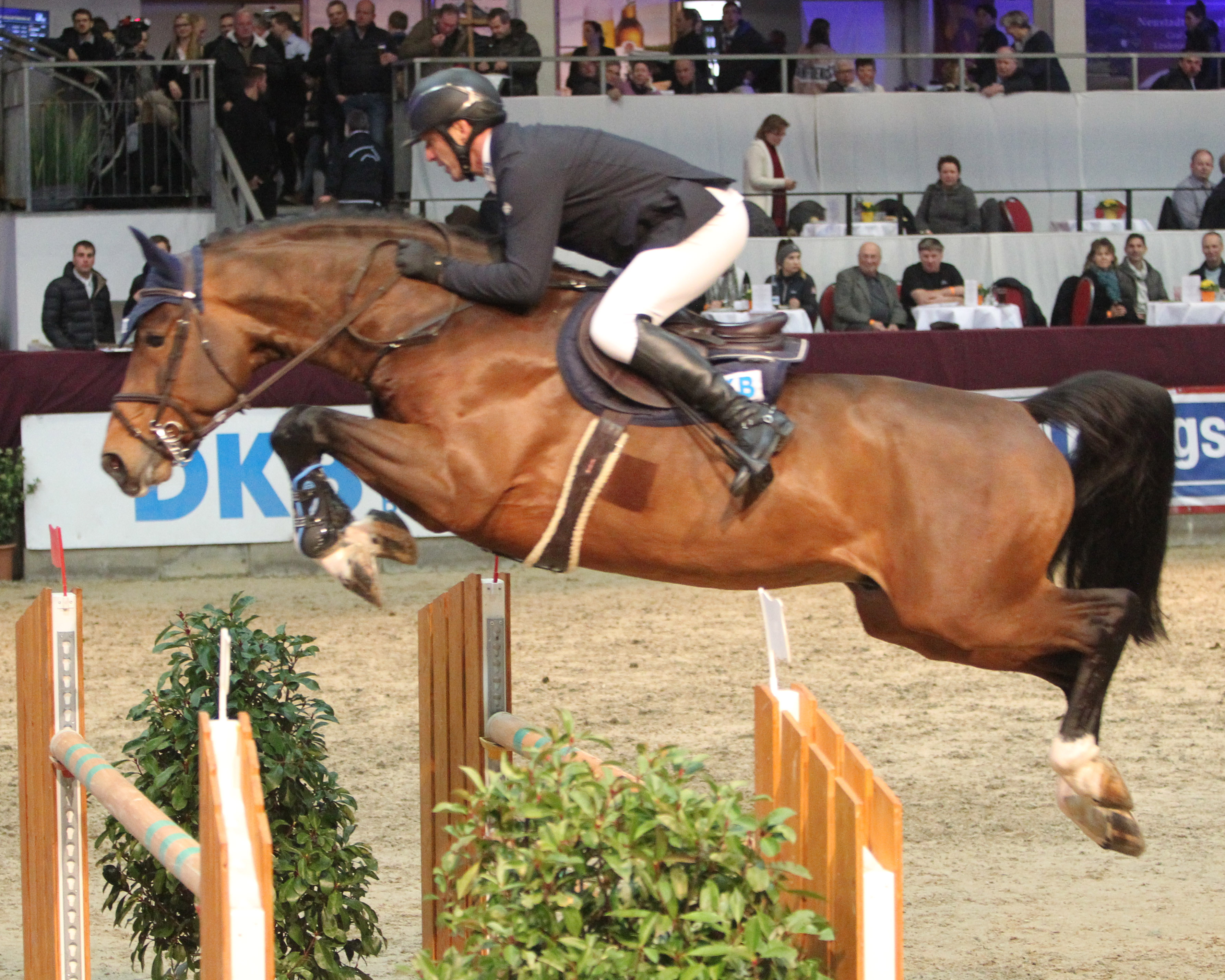 Holger Wulschner - hier auf Diamant de Plaisir - startete am 8. Januar in Neustadt (Dosse) mit einem Sieg im S-Springen erfolgreich in das Jahr. © Jutta Wego