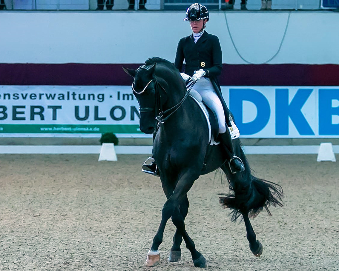 Die Australierin Simone Pearce vom Gestüt Bonhomme gewann mit dem Hengst Cadeau Noir den Grand Prix und den Spezial. © KaLo