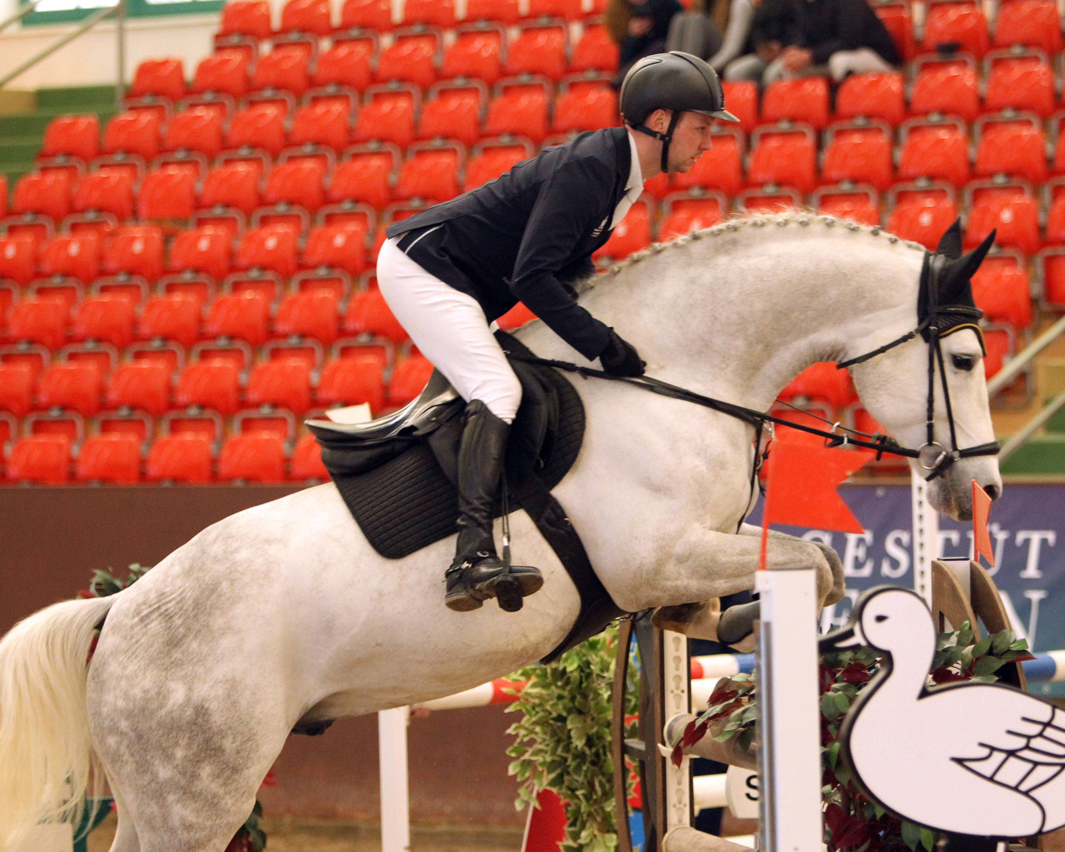 Mit dem 8-jährigen Landgestütshengst Carat du Plassis hat Maximilian Gräfe das M-Springen gewonnen, den sportlichen Höhepunkt beim Springpferdetag im Landgestüt Redefin. © Jutta Wego