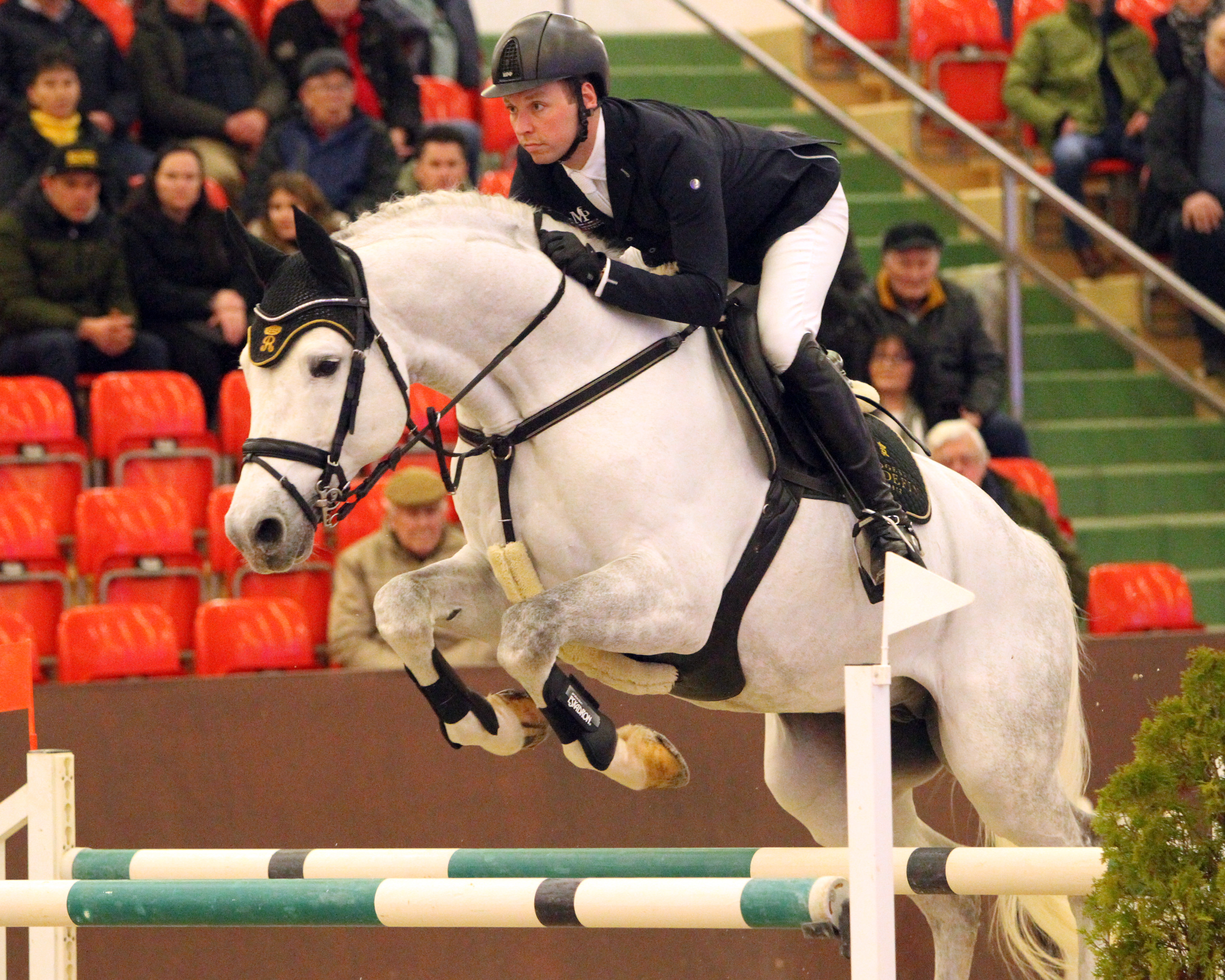 Sieger im Großen Preis beim Hallen-Landeschampionat in Redefin wurde Maximilian Gräfe mit dem 8-jährigen Redefiner Landgestütshengst Karat du Plesis. © Jutta Wego