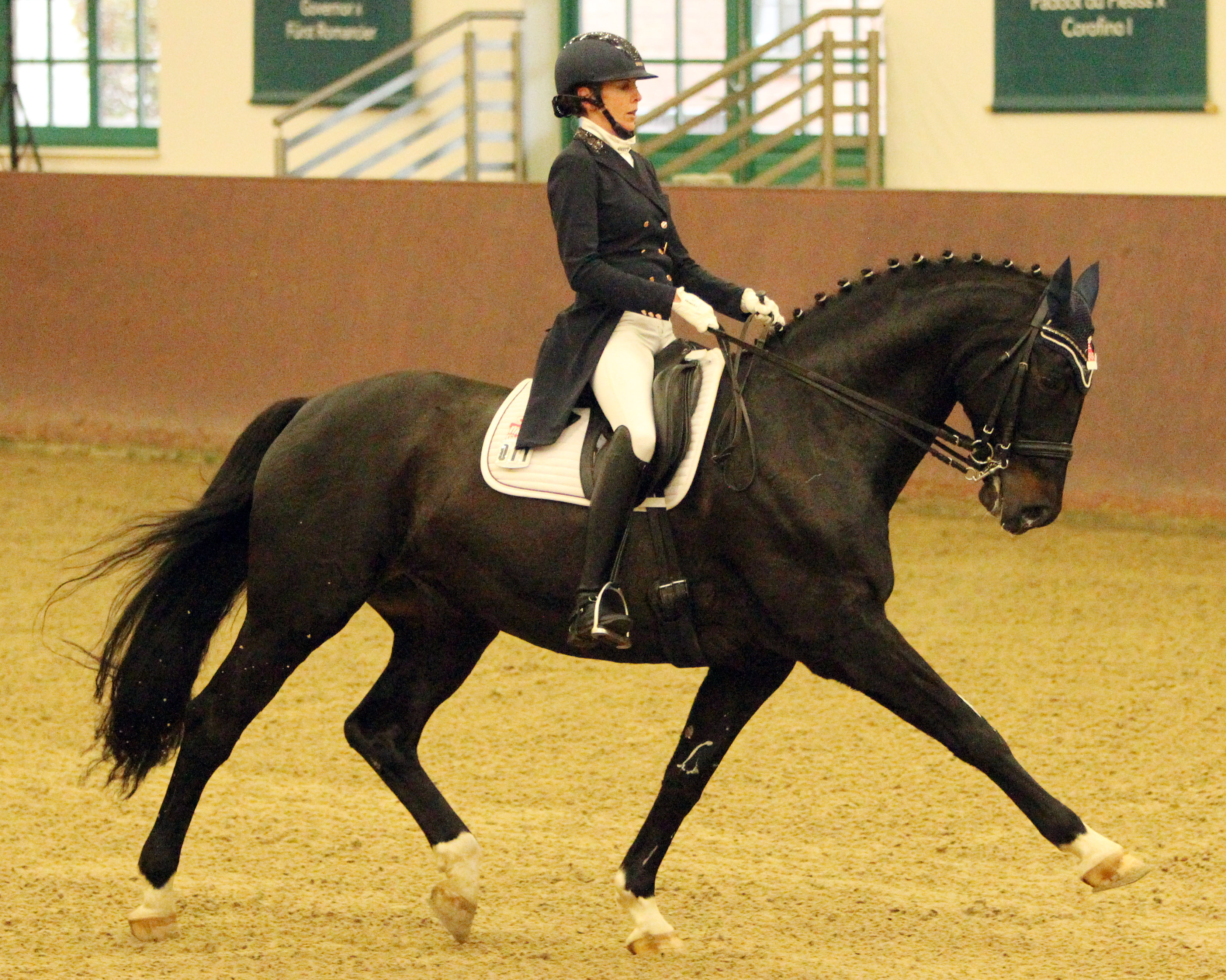 Christina Thieme (Redefin) hat mit dem Mecklenburger Coffee to go die Intermediaire I gewonnen, sportlicher Höhepunkt der Dressur-Championate in Redefin. © Jutta Wego