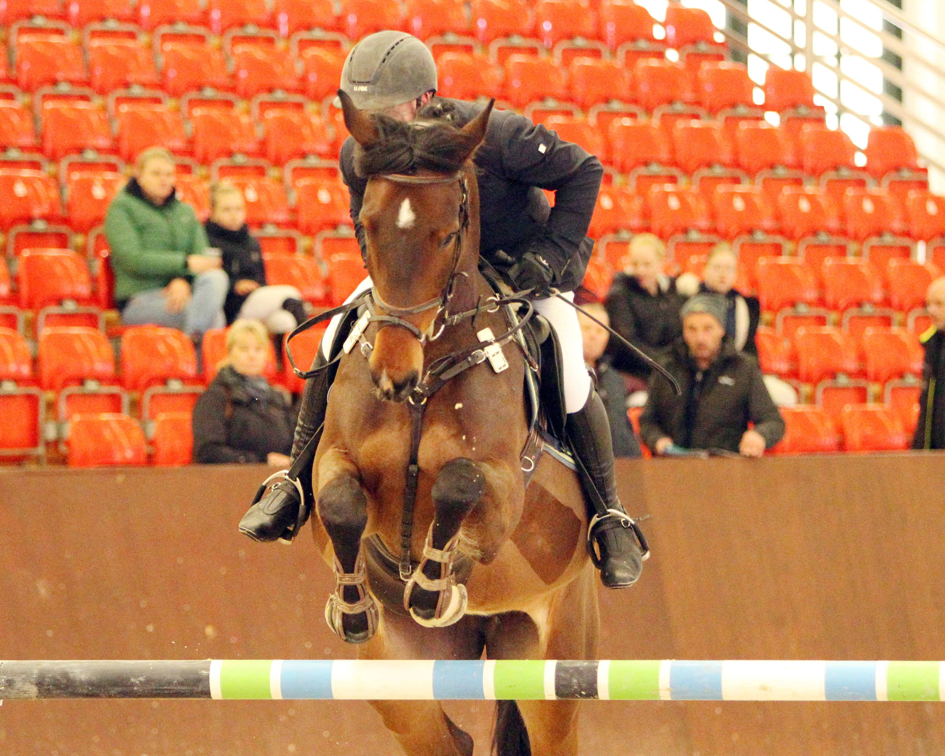 Beim Springpferdetag am 7. März in Redefin kam Jörg Möller (Garlitz) zu zwei Siegen. Das M-Springen gewann er auf der 6-jährigen Stute Cornets Lady. © Jutta Wego