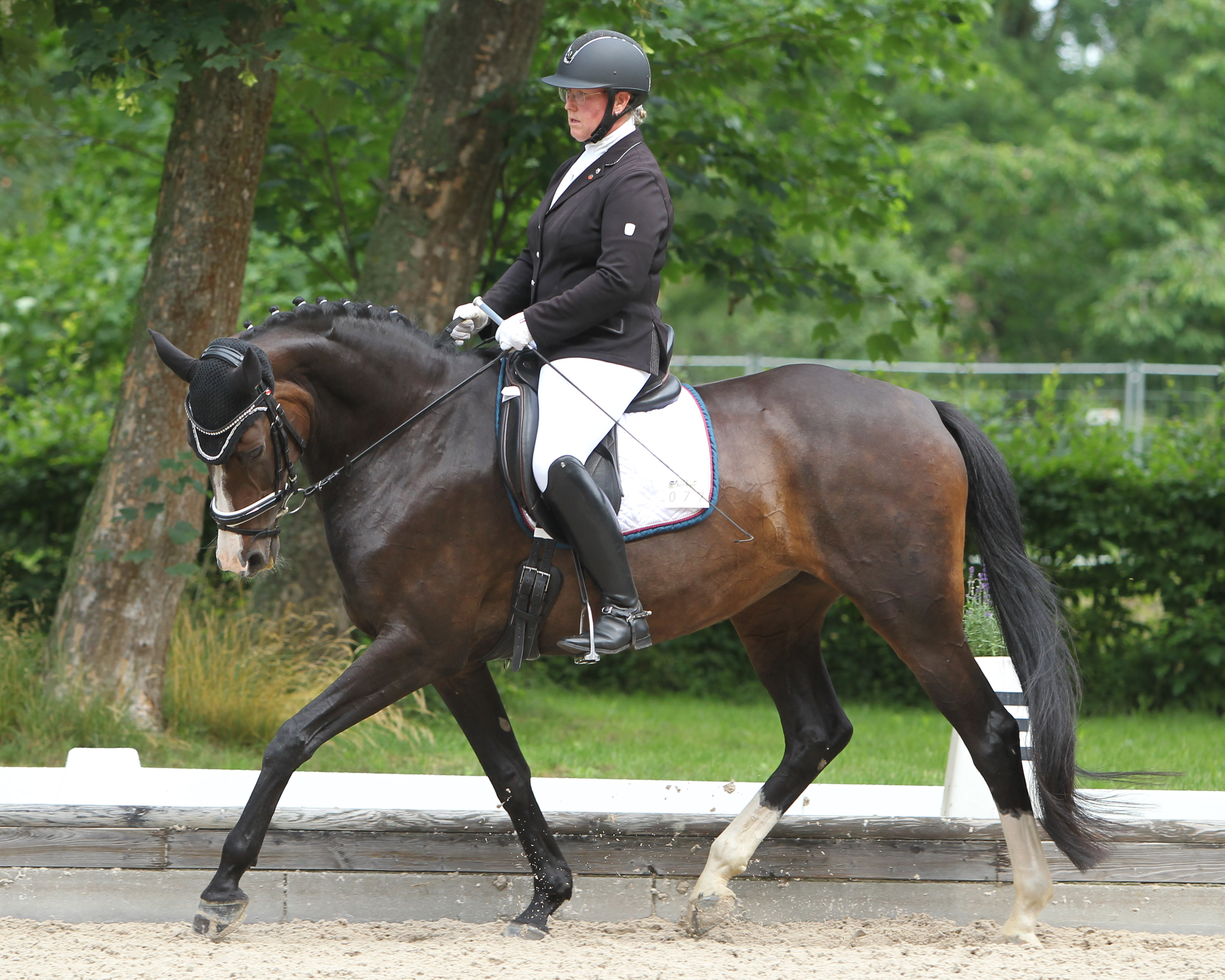 Zu einem A-Sieg kam die 48-jährige Anja Kasdorf vom RFV Bornmühle bei den Fleesensee Classic’s auf der 12-jährigen Stute Levantina K. © Jutta Wego