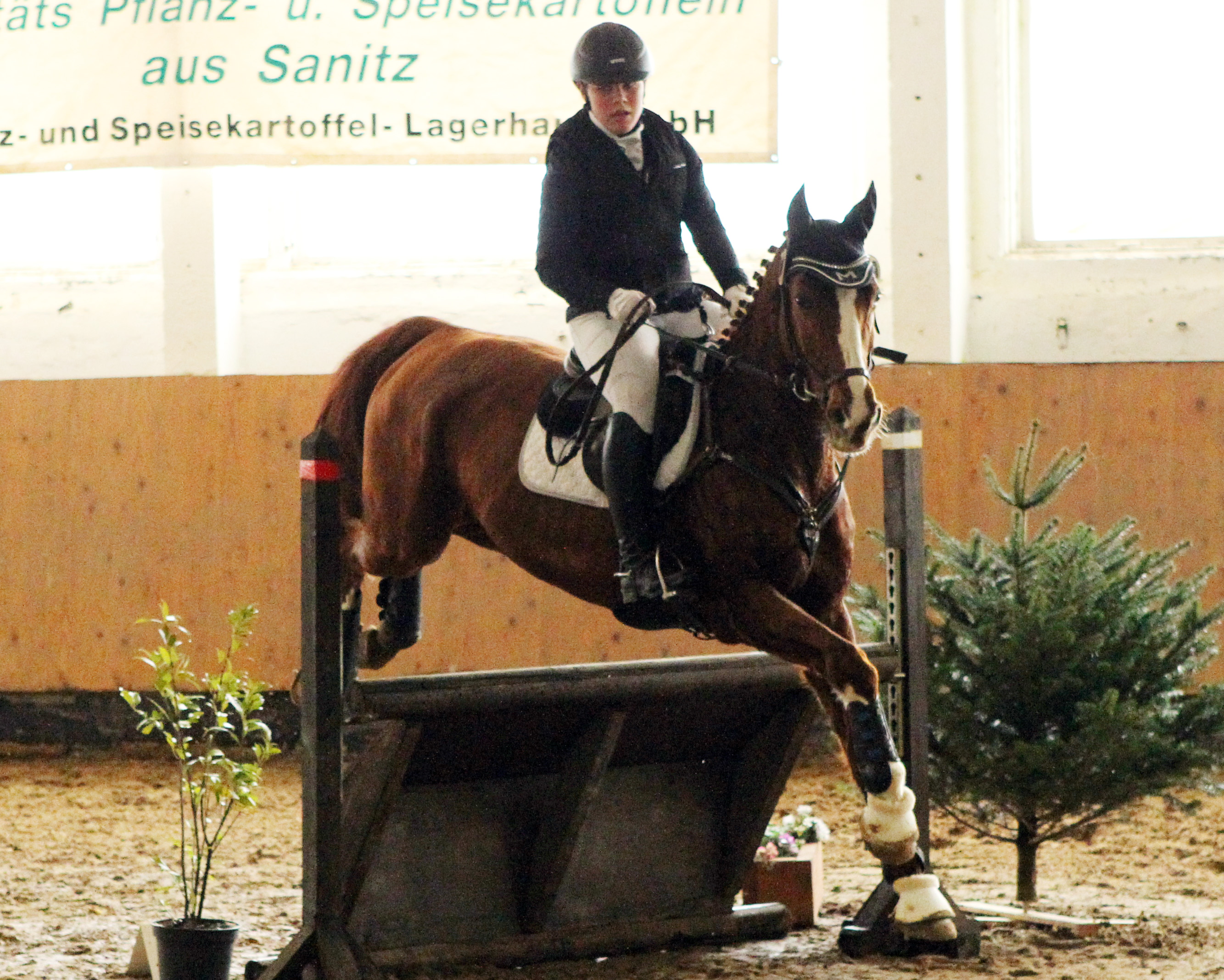 Ann-Katrin Staege (Parkentiner RV Am Hütter Wohld) mit Quidam’s Rebell. © Jutta Wego