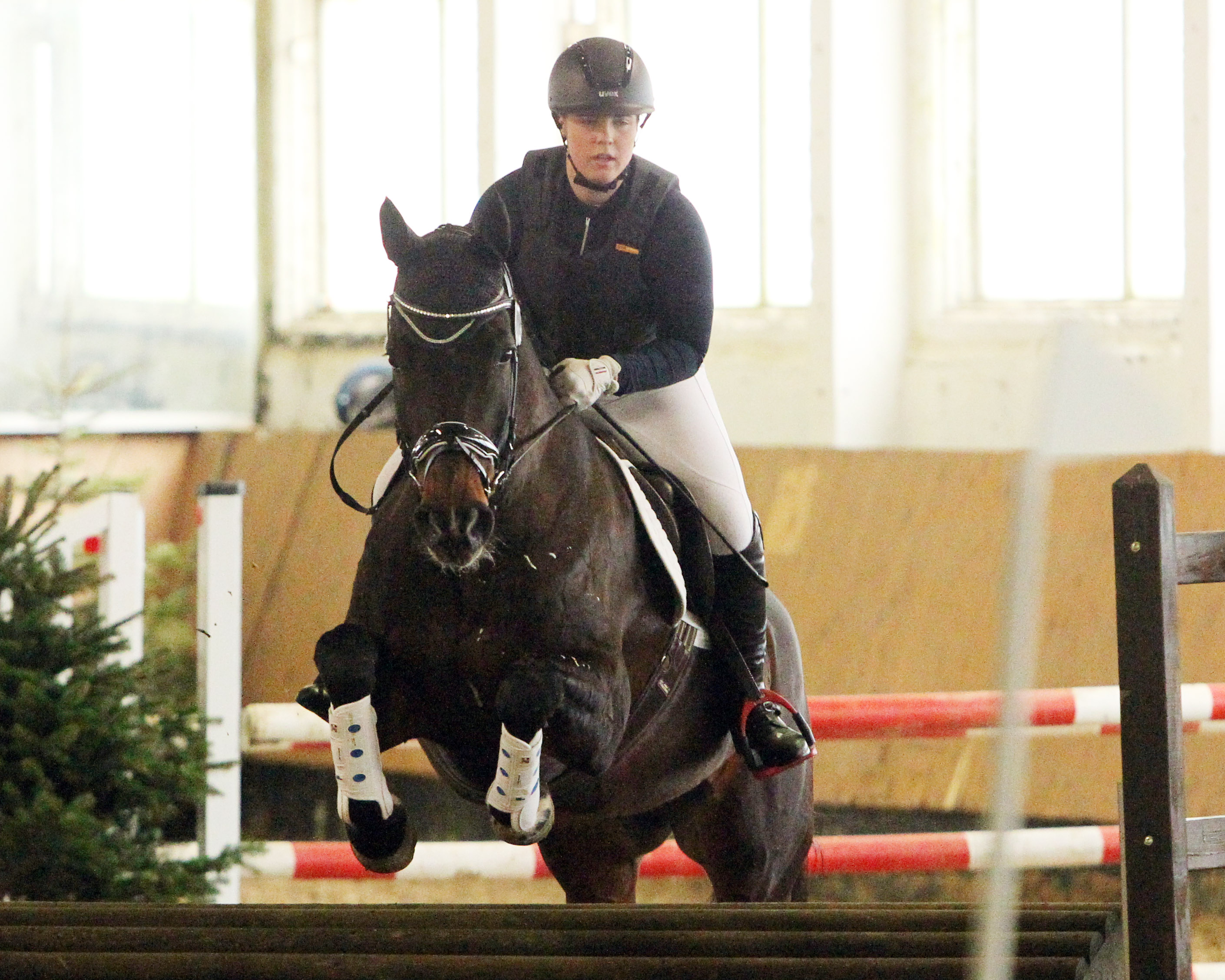 Vanessa Wendler (RV Parkentin) mit Floris K. © Jutta Wego