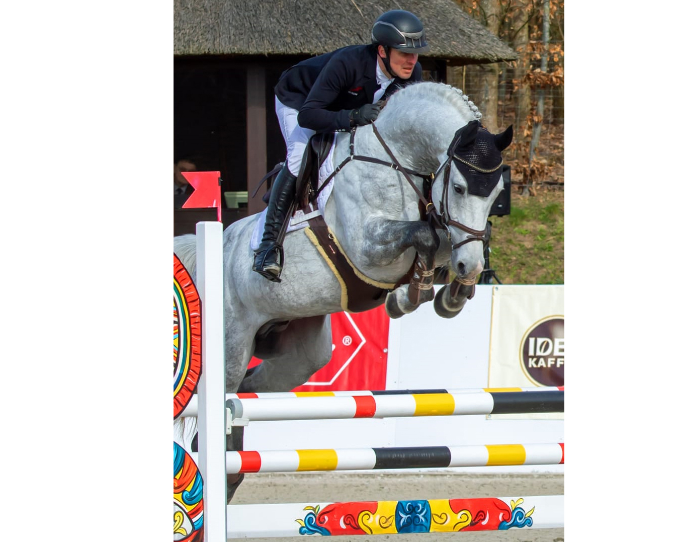 Der 5-jährige CELLADO, ein Sohn seines fast schon zur Legende gewordenen Vaters Cellestial, mit Christoph Lanske bei seinem Sieg in der Springpferdeprüfung Klasse L am letzten Dienstag in Groß Viegeln. © KaLo