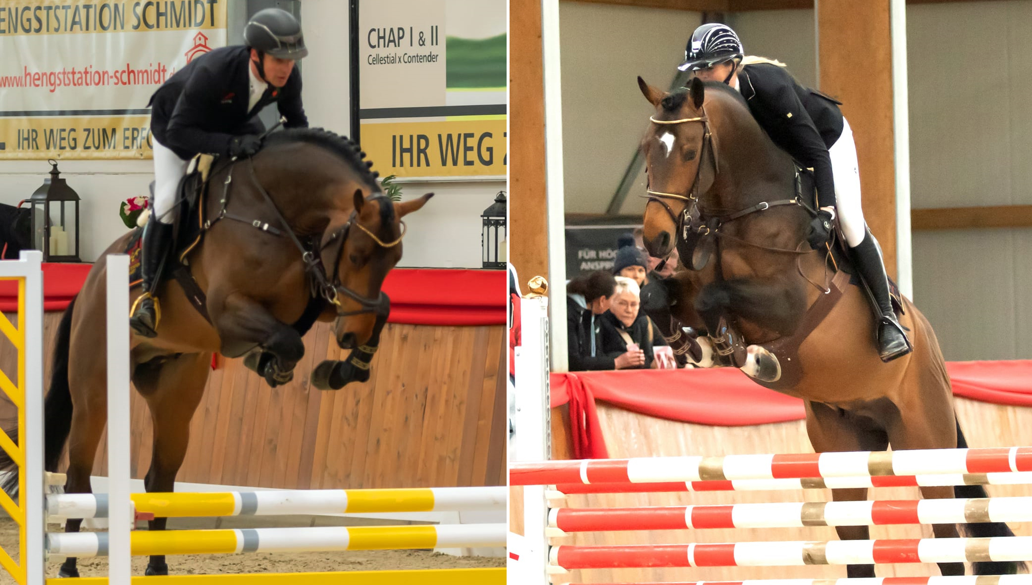 Rechts der 5-jährige Maverik Z von Monte Obolensky mit Denise Svensson. Links der 4-jährige Compass Z von Cornet Obolensky mit Christoph Lanske.