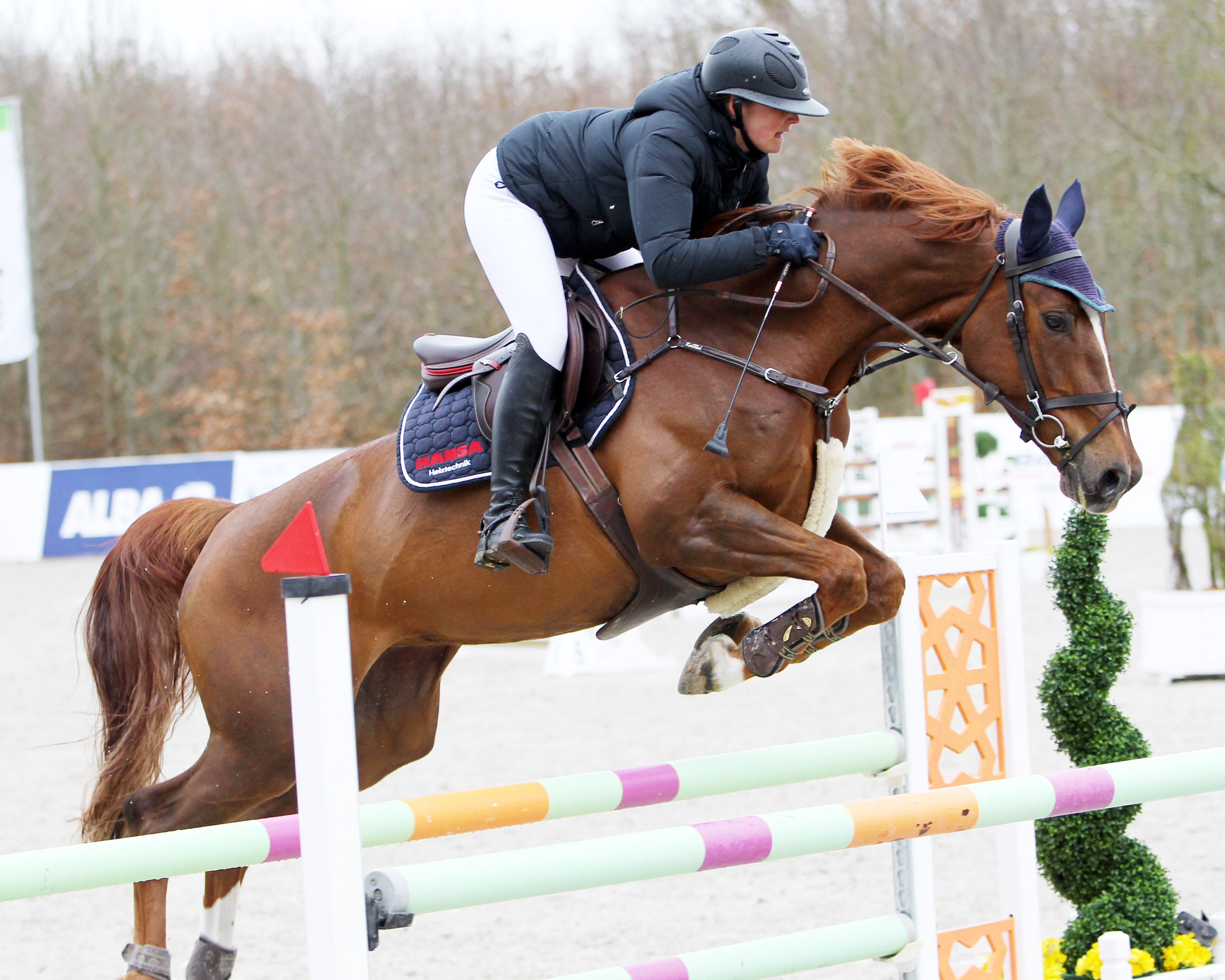 Tessa Leni Thillmann aus Rastorf gewann mit der 7-jährigen Stute Kalia vom Burgdamm ein M-Springen. © Jutta Wego