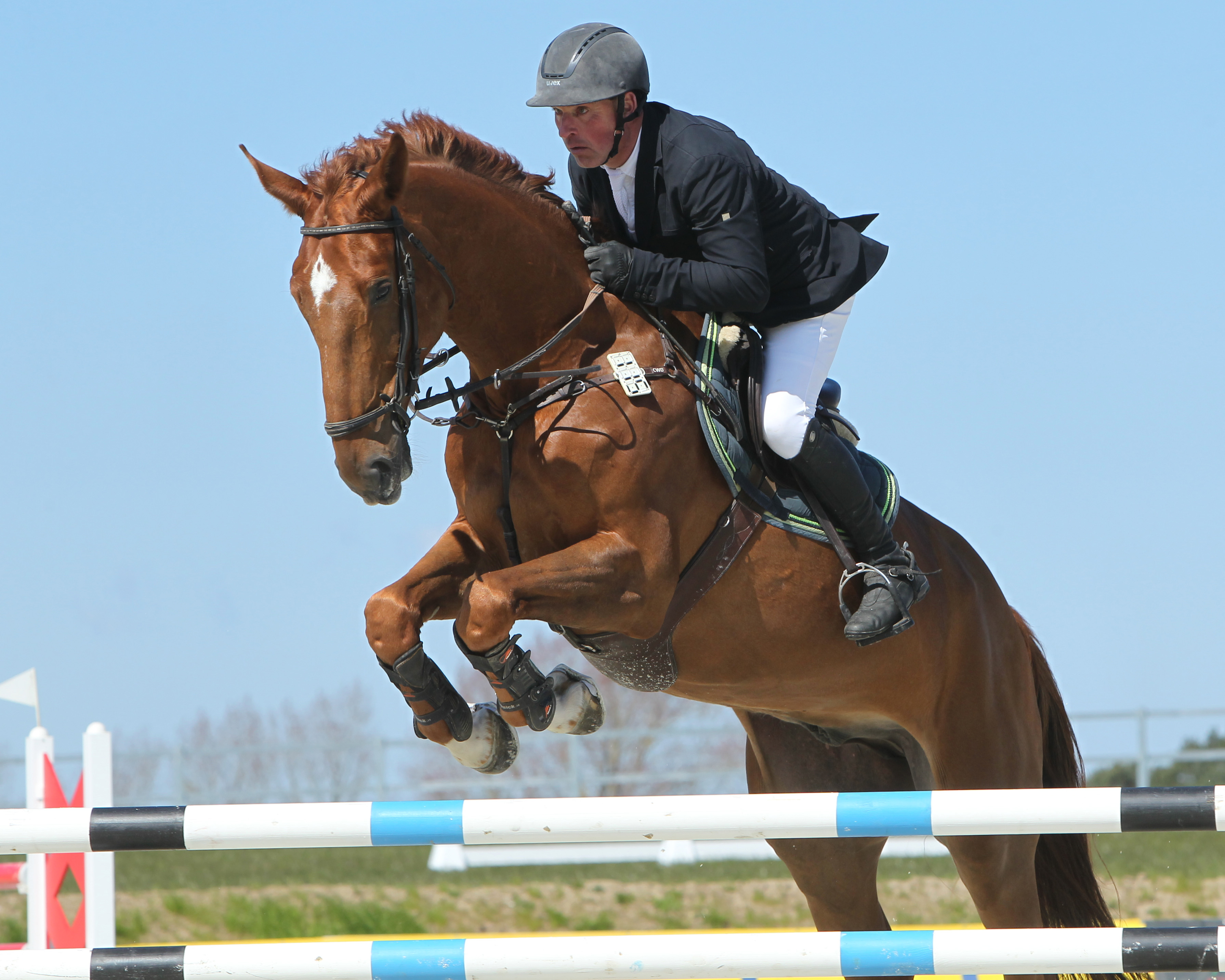 Der Garlitzer Jörg Möller wurde zweifacher M-Sieger beim Testevent in Hohen Wischendorf. Mit dem 7-jährigen Chevalier gewann er das Zwei-Sterne-Springen. © Jutta Wego