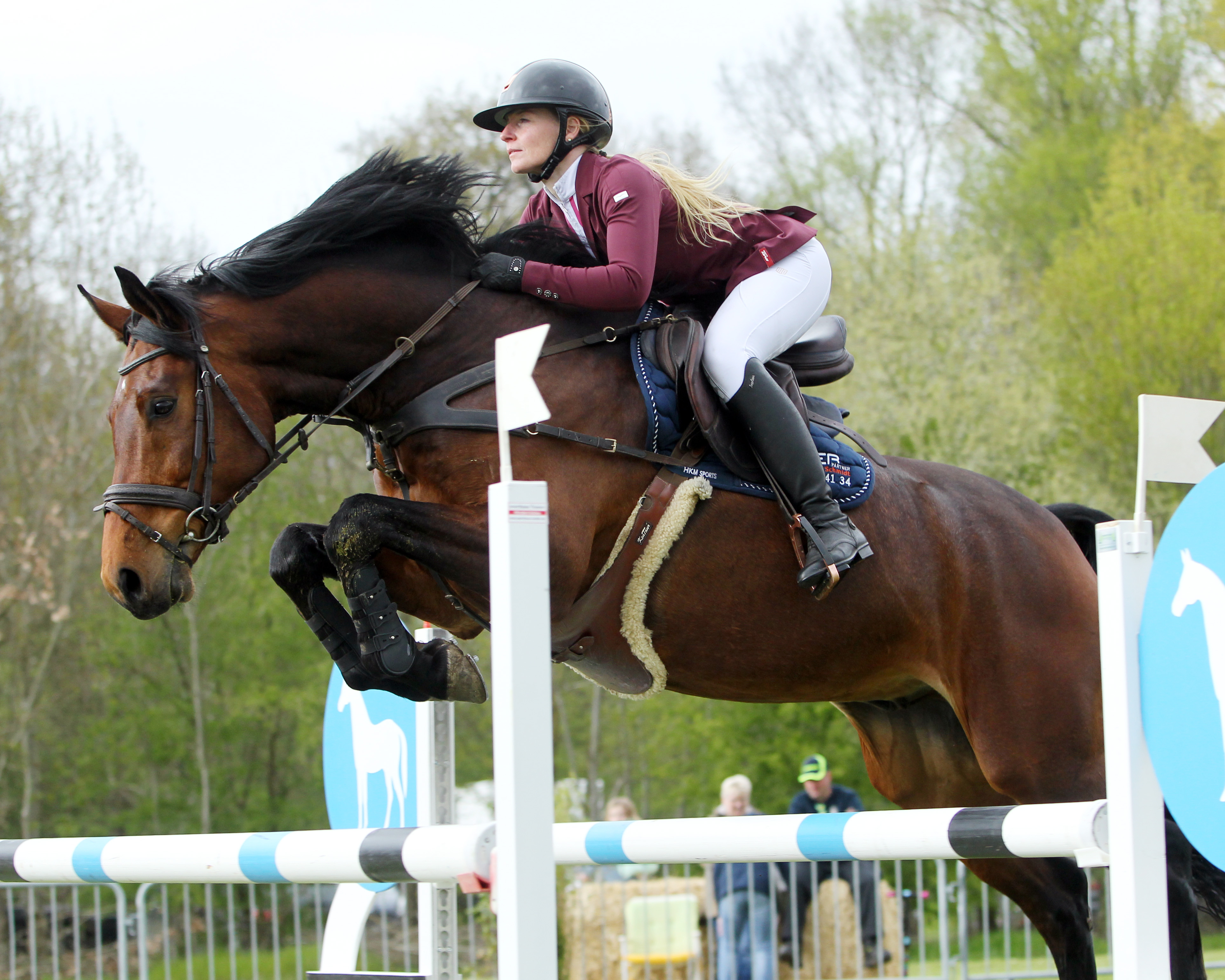 Im M-Punktespringen am Sonntag siegte Juliane Weihs (Grevesmühlen) mit Hell Boy van de Zuuthoeve Z (Foto) und wurde mit Galanthis auch Zweite. © Jutta Wego