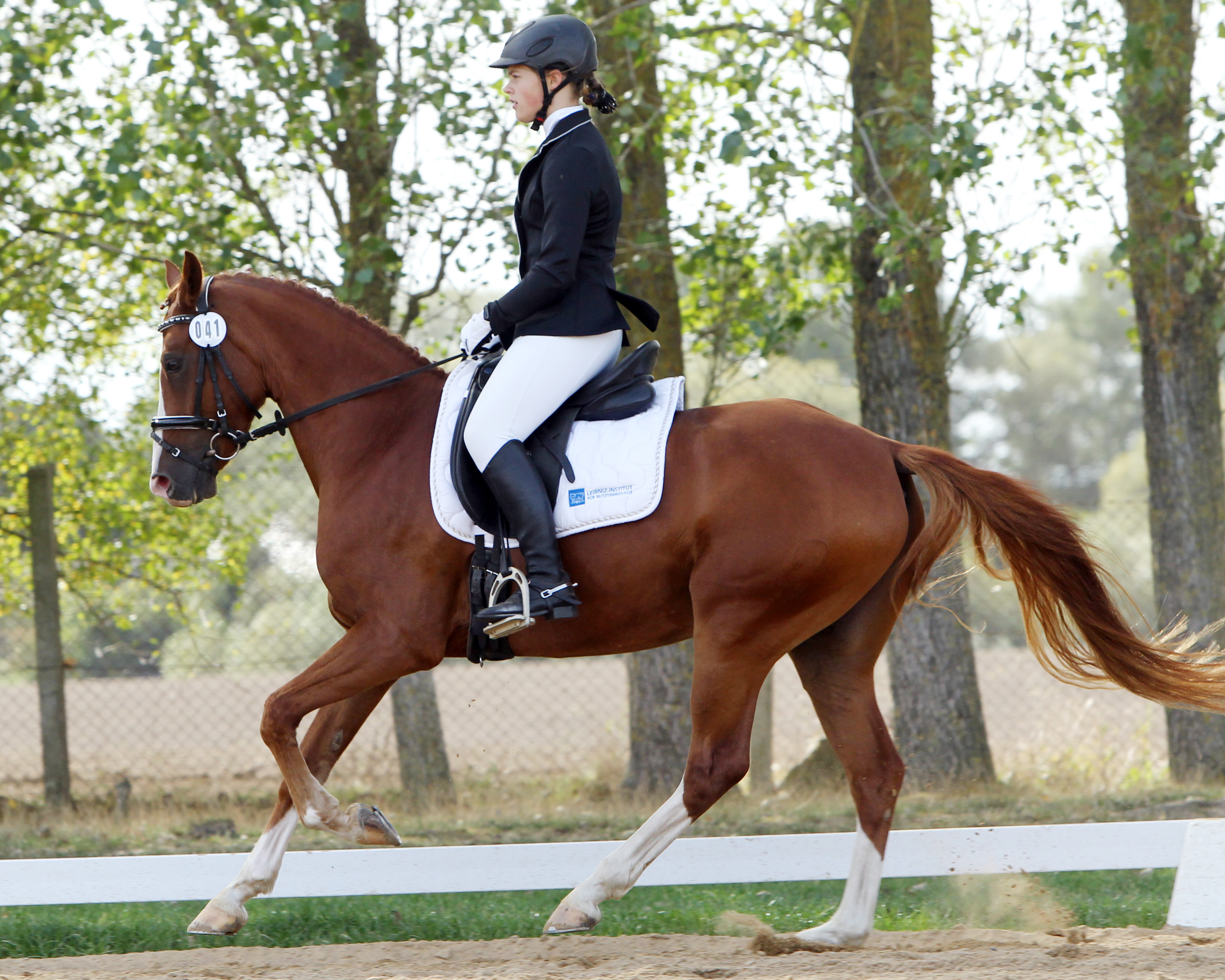 Die Qualifikation zum Nürnberger Burgpokal der MV-Junioren gewann Hanna Lipka (Altkalen) mit dem 8-jährigen Reitpony Couscool. © Jutta Wego