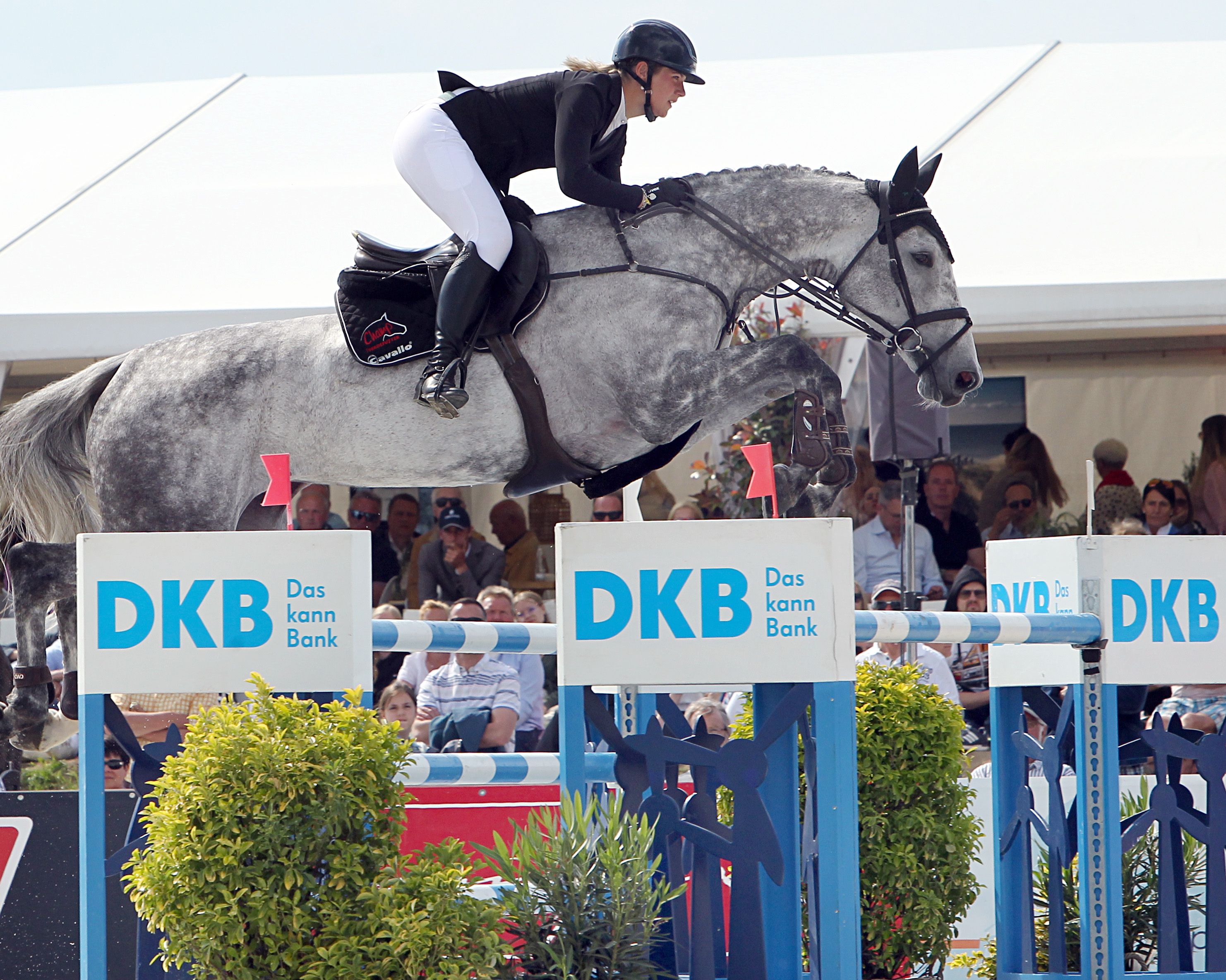 Die 24-jährige Teike Carstensen aus dem schleswig-holsteinischen Sollwitt hat mit der Mylord Carthago Greece den Großen Vier-Sterne-Preis beim 1. CSI4* in Hohen Wieschendorf gewonnen. © Jutta Wego