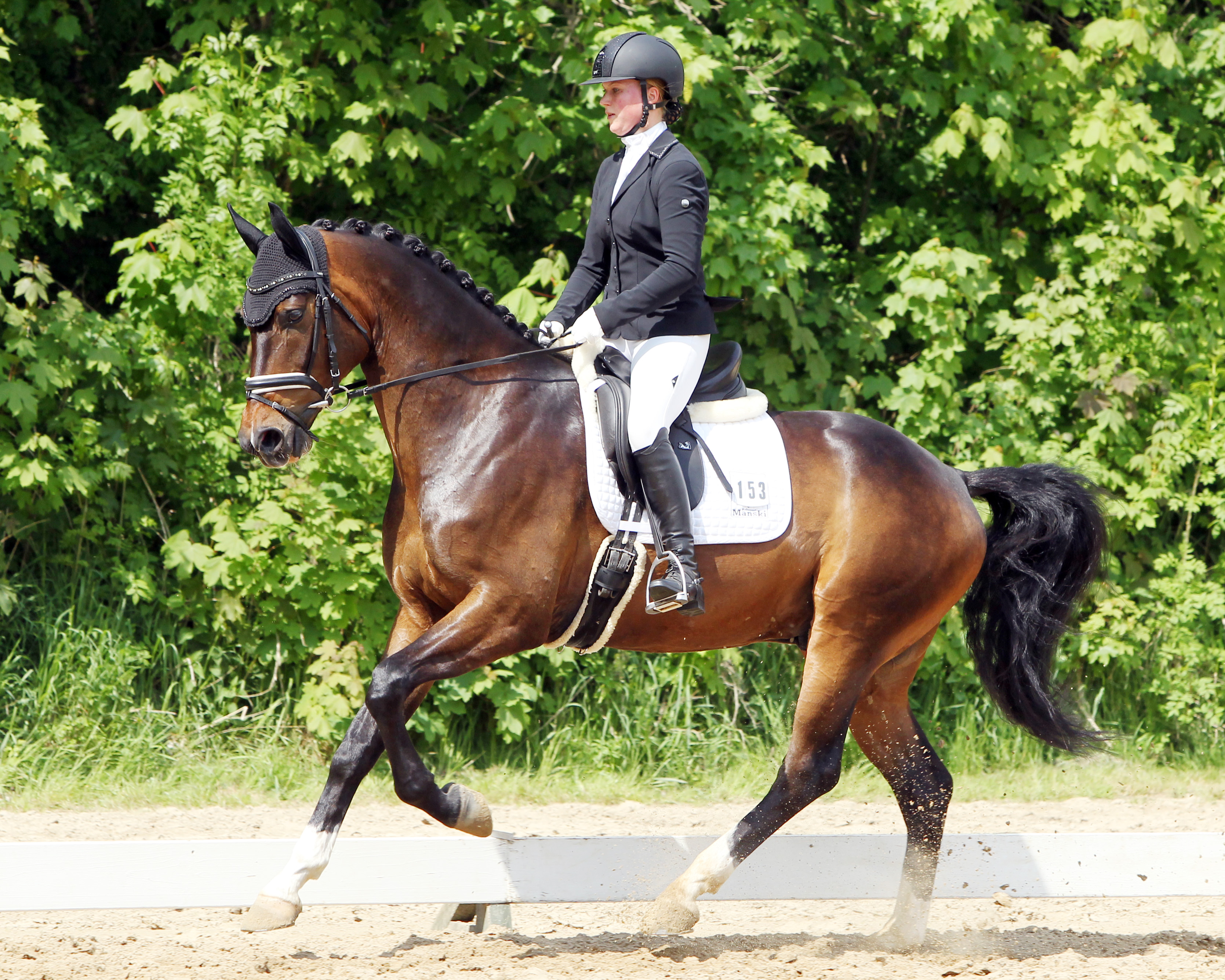 Eine gute Vorstellung lieferte Ann-Christin Mehl (Zingst) als Siegerin der L-Dressur (L5) auf dem 6-jährigen Falegro. © Jutta Wego