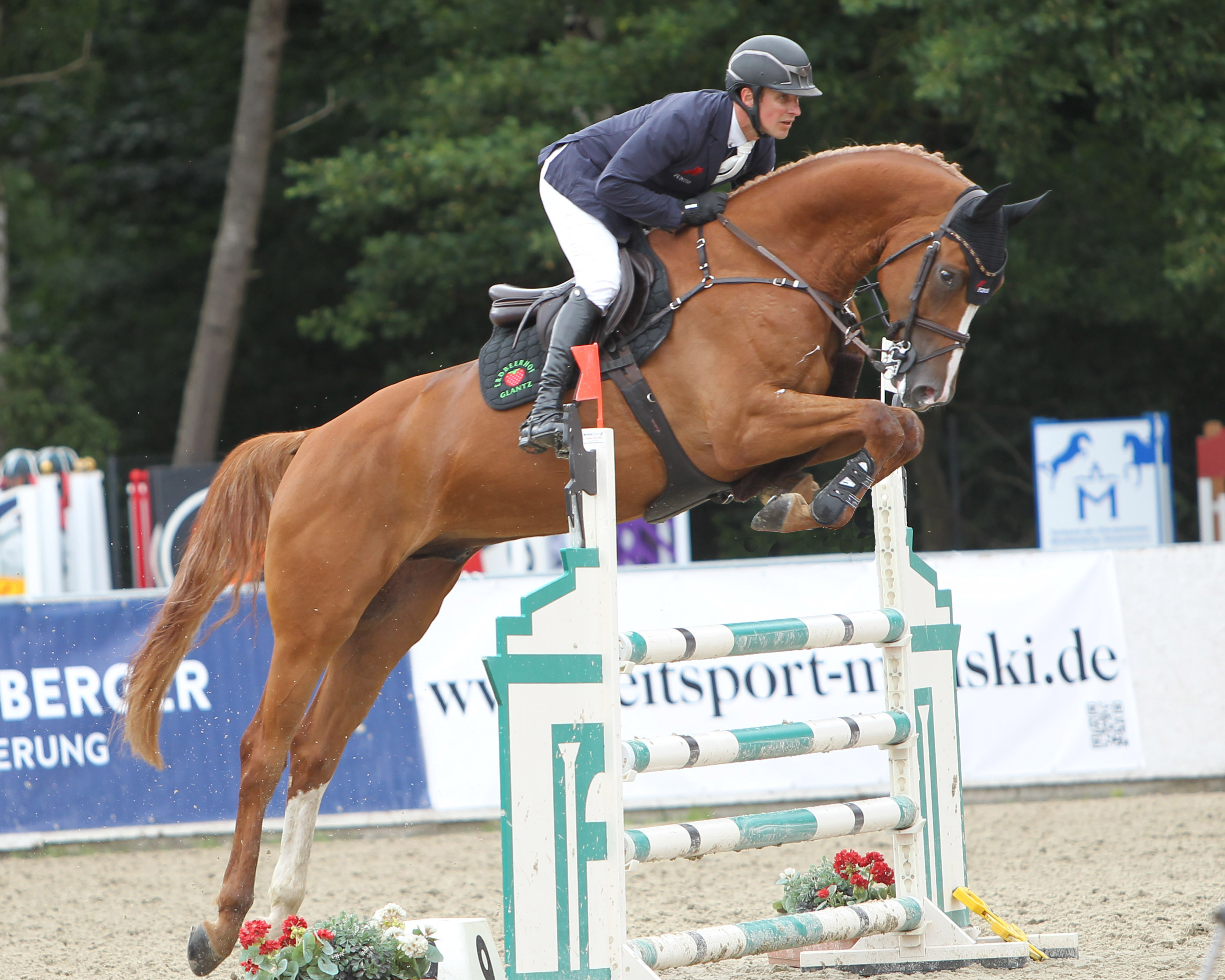Zu den erfolgreichsten Reitern in den Springpferdeprüfungen gehörte Christoph Lanske aus Hohen Wieschendorf. Mit dem 6-jährigen Cas Hope-Sohn Chad EG wurde er in Klasse L Zweiter und in Klasse M Dritter. © Jutta Wego