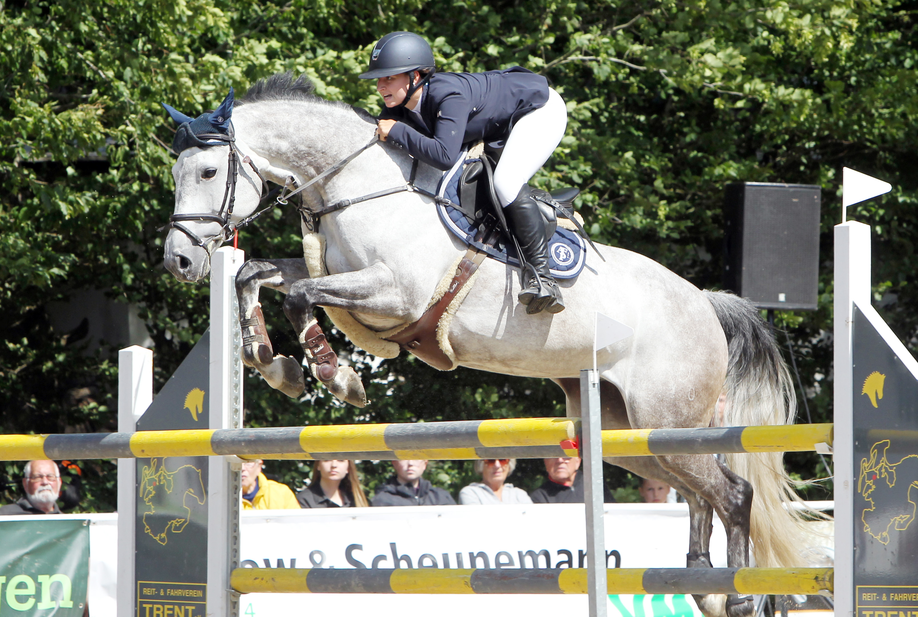 Die 22-jährige Rica Marlene Scholz (Schloss Wendorf) hat in Zubzow mit dem 10-jährigen Schimmel Casadimo den Großen Preis und das Championat gewonnen. © Archiv Wego