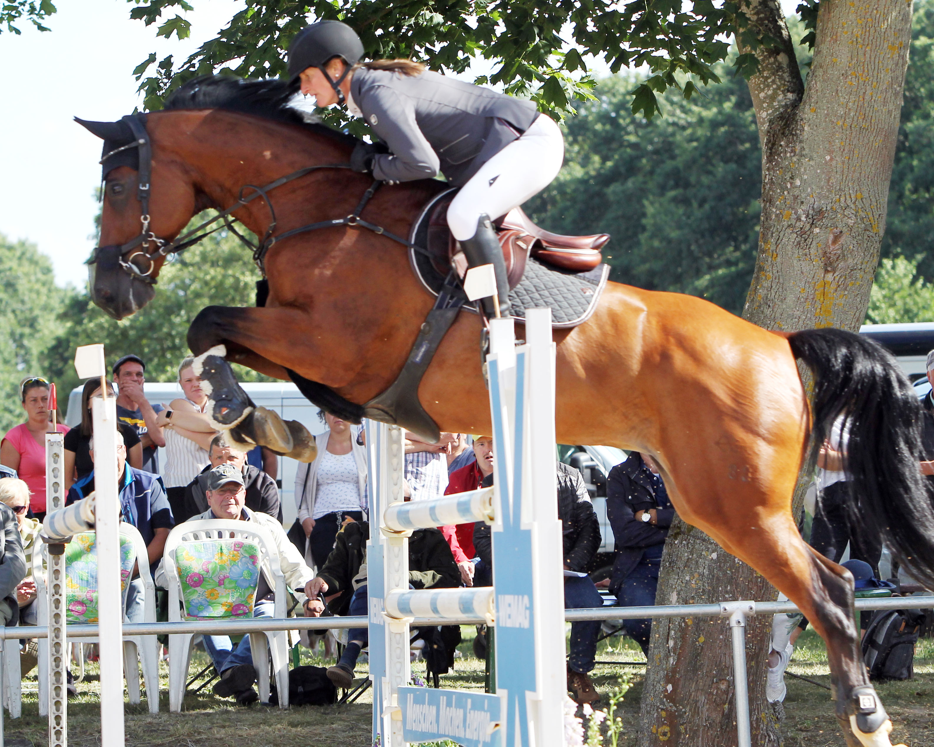 Die größten Erfolge hat Susan Nörenberg gegenwärtig mit dem 14-jährigen Champ, auf dem sie im vorigen Jahr das M-Punktespringen vor heimischem Publikum gewann. © Jutta Wego