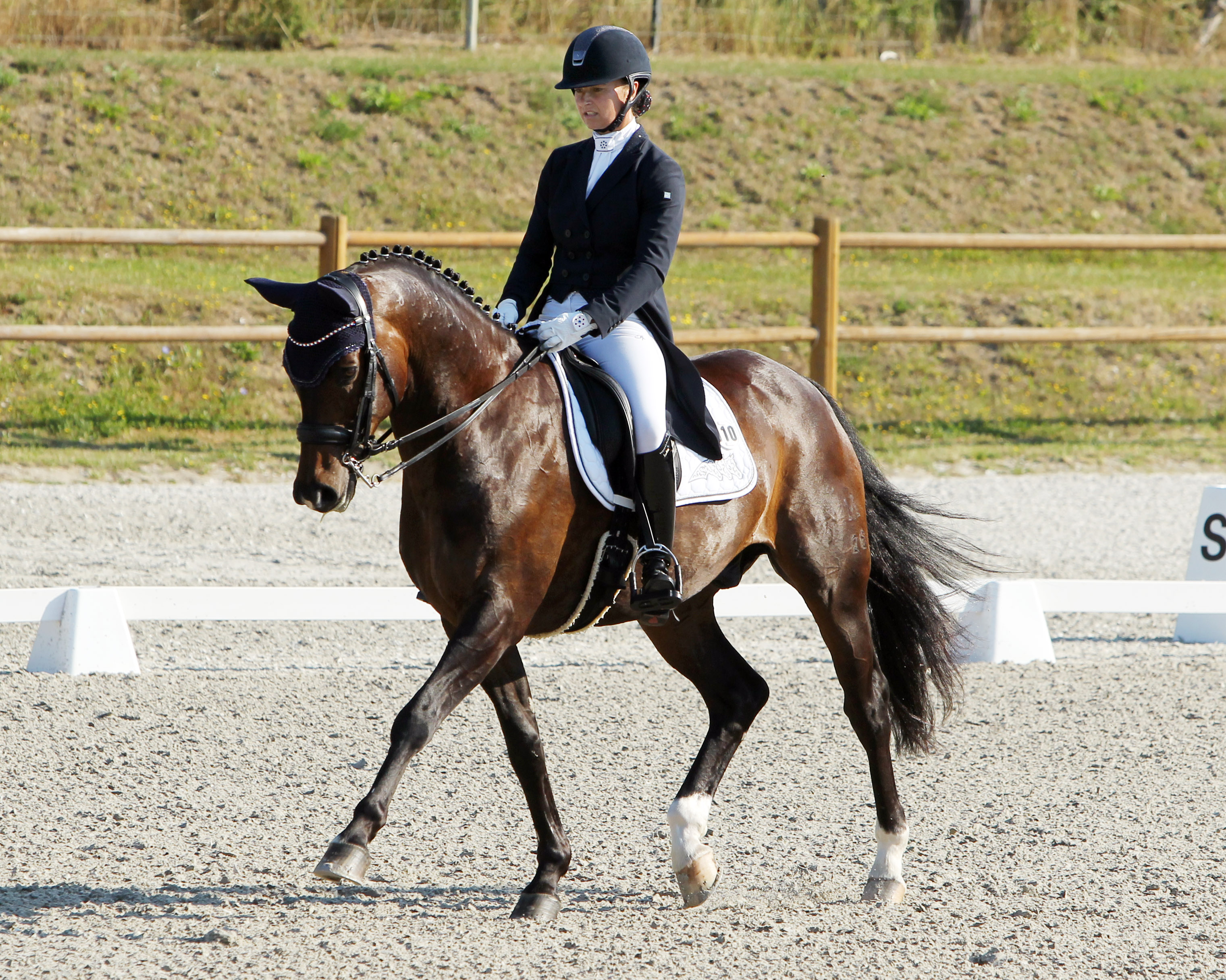 Titelverteidigerin der S-Dressur ist Susanne Voß vom Reitverein Güstrow mit San Amour. Die 38-Jährige Reiterin aus Laage hat auch für das diesjährige Dressurturnier in Blowatz gemeldet. © Jutta Wego