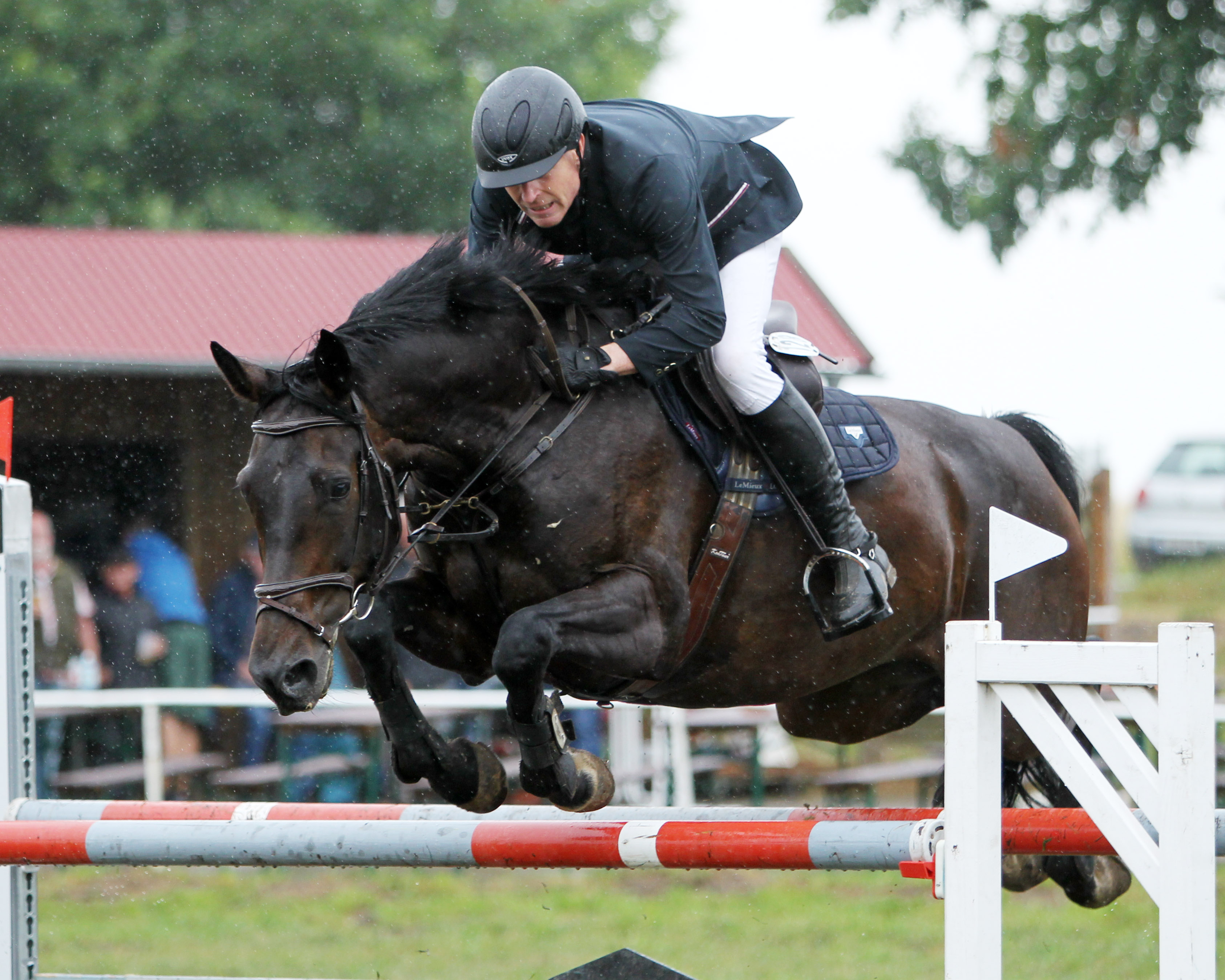 Nur am Samstag im L- und M-Springen am Start, konnte der 55-jährige Andreas Meyer aus Gadebusch das L- und M-Springen auf seiner fein springenden Stute Donna gewinnen. © Jutta Wego