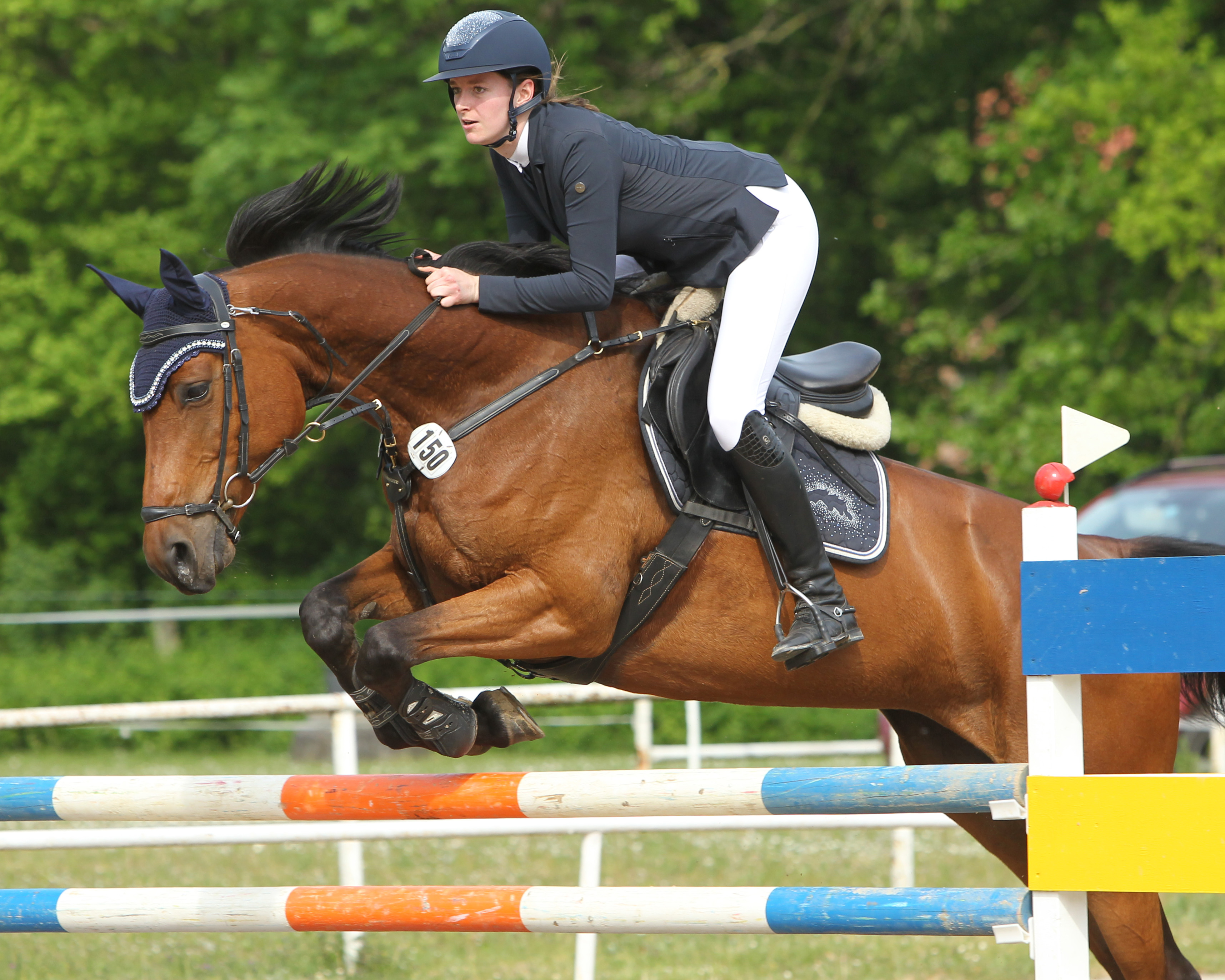 Auf heimischen Platz gewann Annie Kamieth das M-Springen am Sonntag mi Quintana und wurde mit Ellenoy (Foto) Dritte. Am Sonntag ritt sie Ellenoy auf den 2. Platz. © Archiv Wego