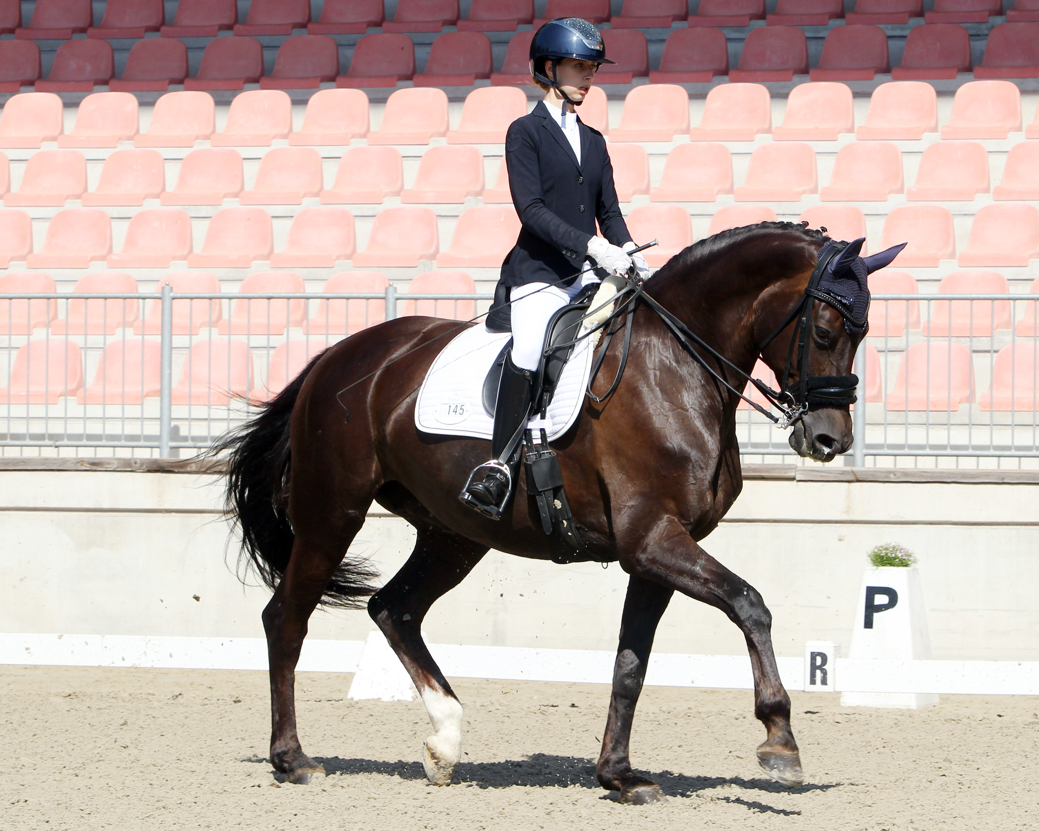 Die 17-jährige Lily Schrenk aus Trent/Rügen gewann mit der 12-jährigen Stute Quiness D die Qualifikation zur Femfert Dressage Trophy. © Archiv Wego