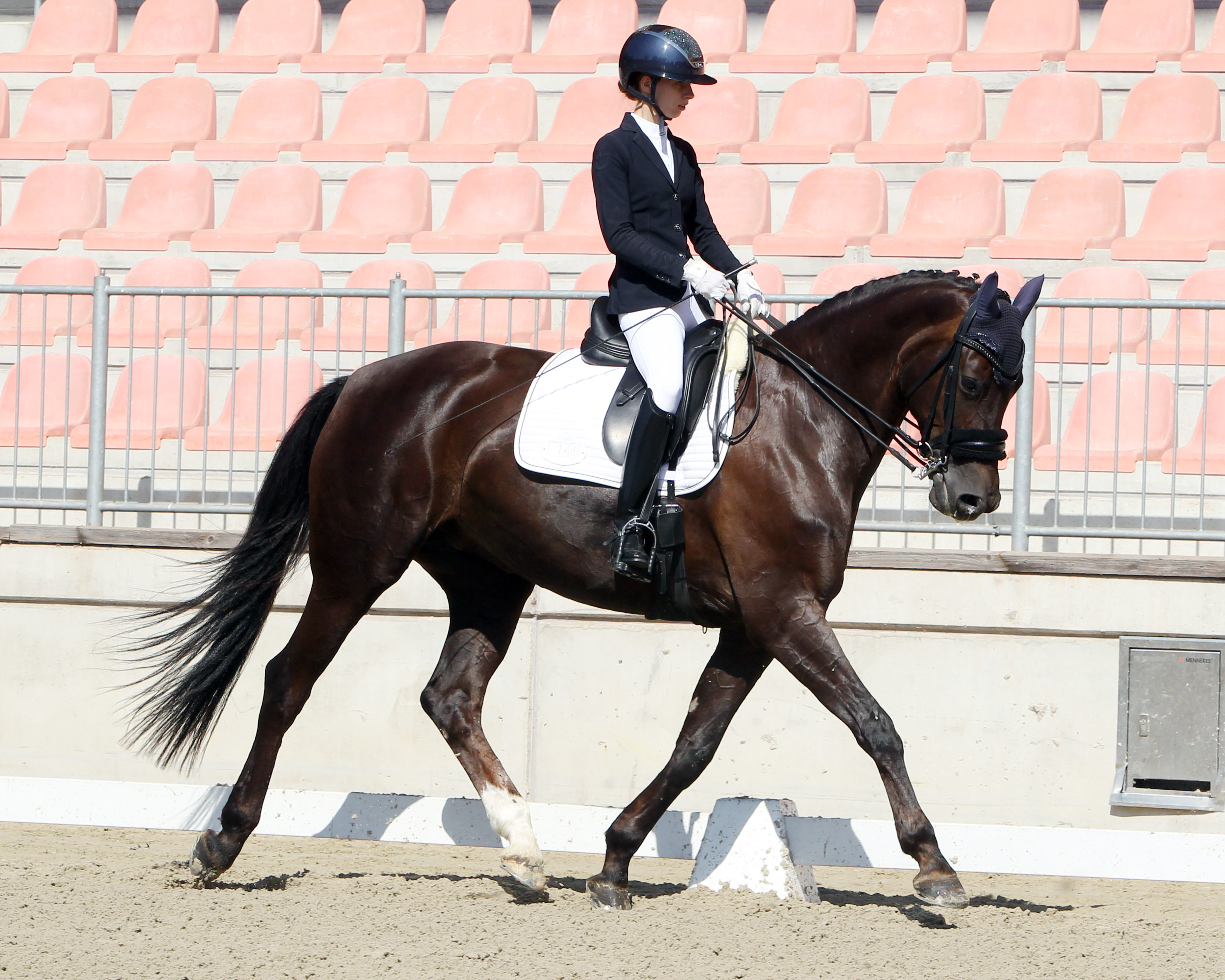 Die 17-jährige Lily Schrenk gehört zu den sportlichen Aushängeschildern des RFV Trent 82 im Dressurreiten, kann mit Quiness D schon viele Erfolge in M-Dressuren vorweisen und wird vor heimischer Kulisse auch in der S-Dressur an den Start gehen. © Jutta Wego