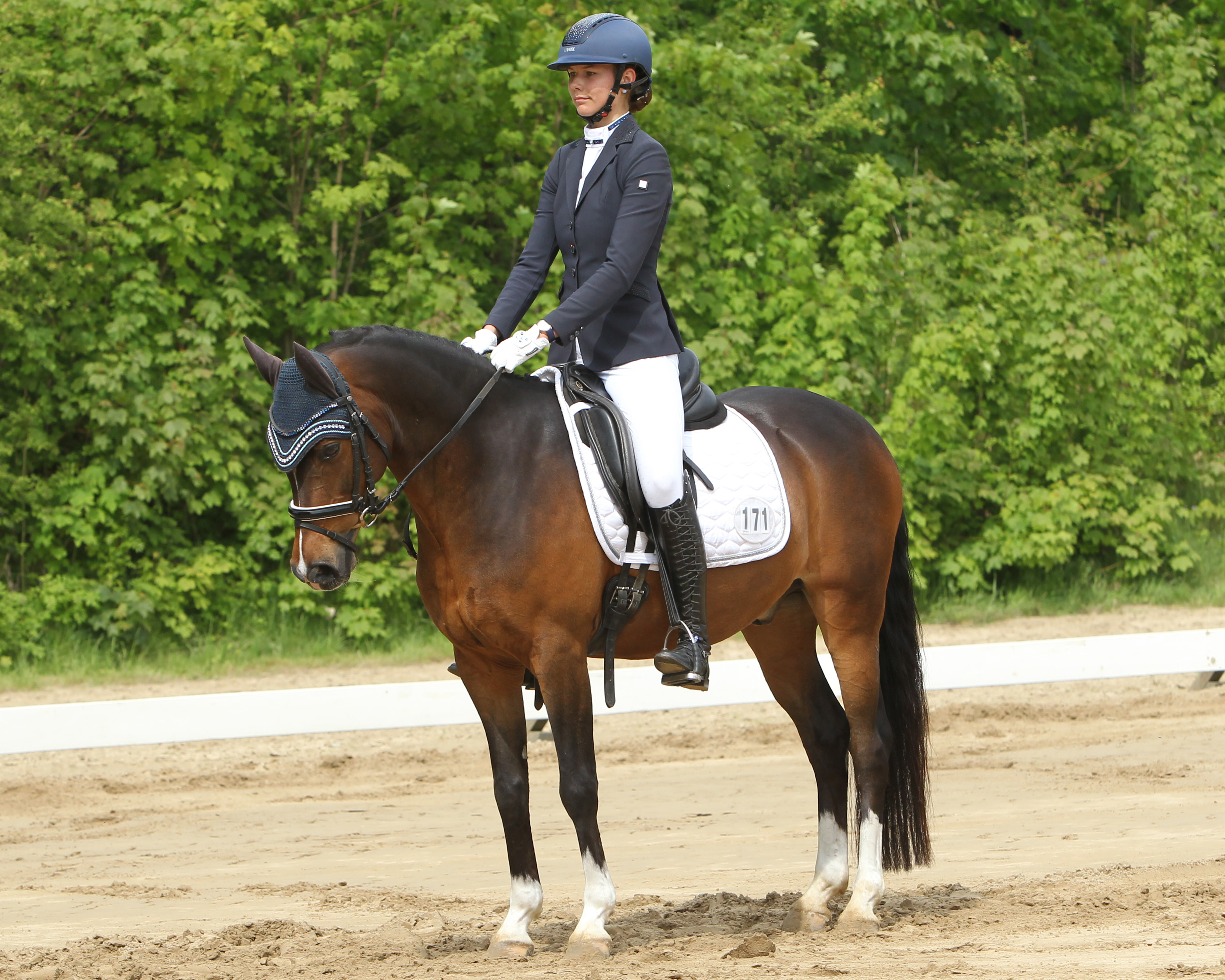 Die L-Dressur L6 hat Stella Baranowski (Wöpkendorf) mit dem 10-jährigen Pony Goldkind gewonnen und wurde in der L2 Zweite. © Archiv Wego