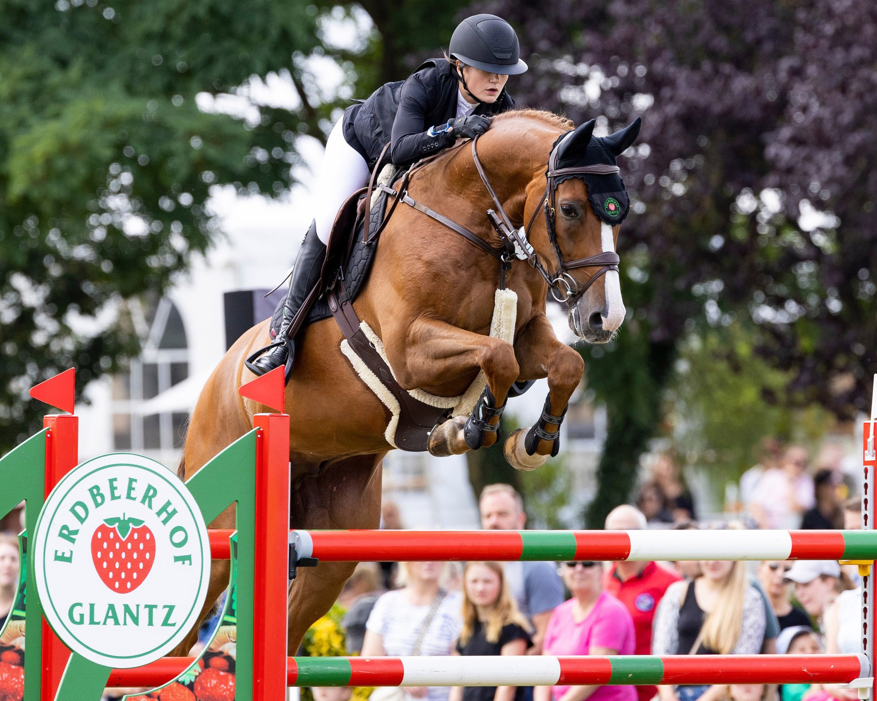 Linn Hamann mit Cool Fox im Großen Preis - in der Nachbarschaft von Lisa & Enno Glantz aufgewachsen - bei ihrem ersten Sieg im Erdbeer Cup. © Hellmann