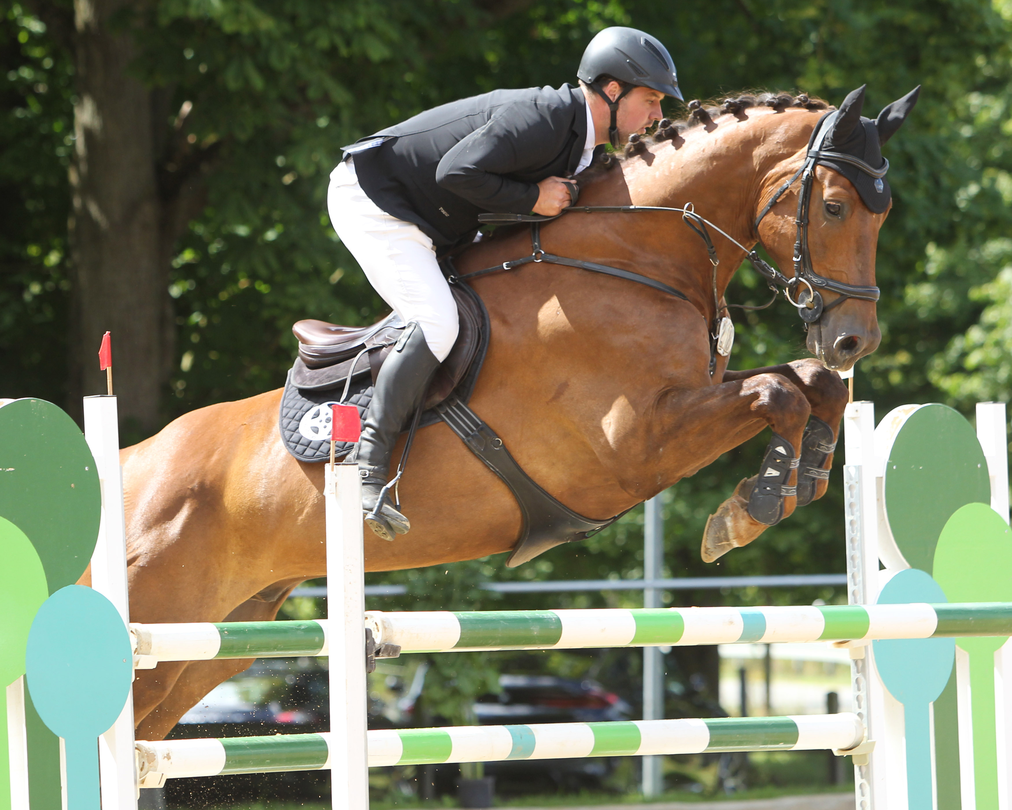 Zwei Siege gab es für Julian Sass aus Zerrenthin - Mit Dagobert (Foto) gewann er das Youngster M-Springen, mit Casemiro, zusammen mit Hannes Prehl, die Springpferdeprüfung Klasse L. © Archiv Wego