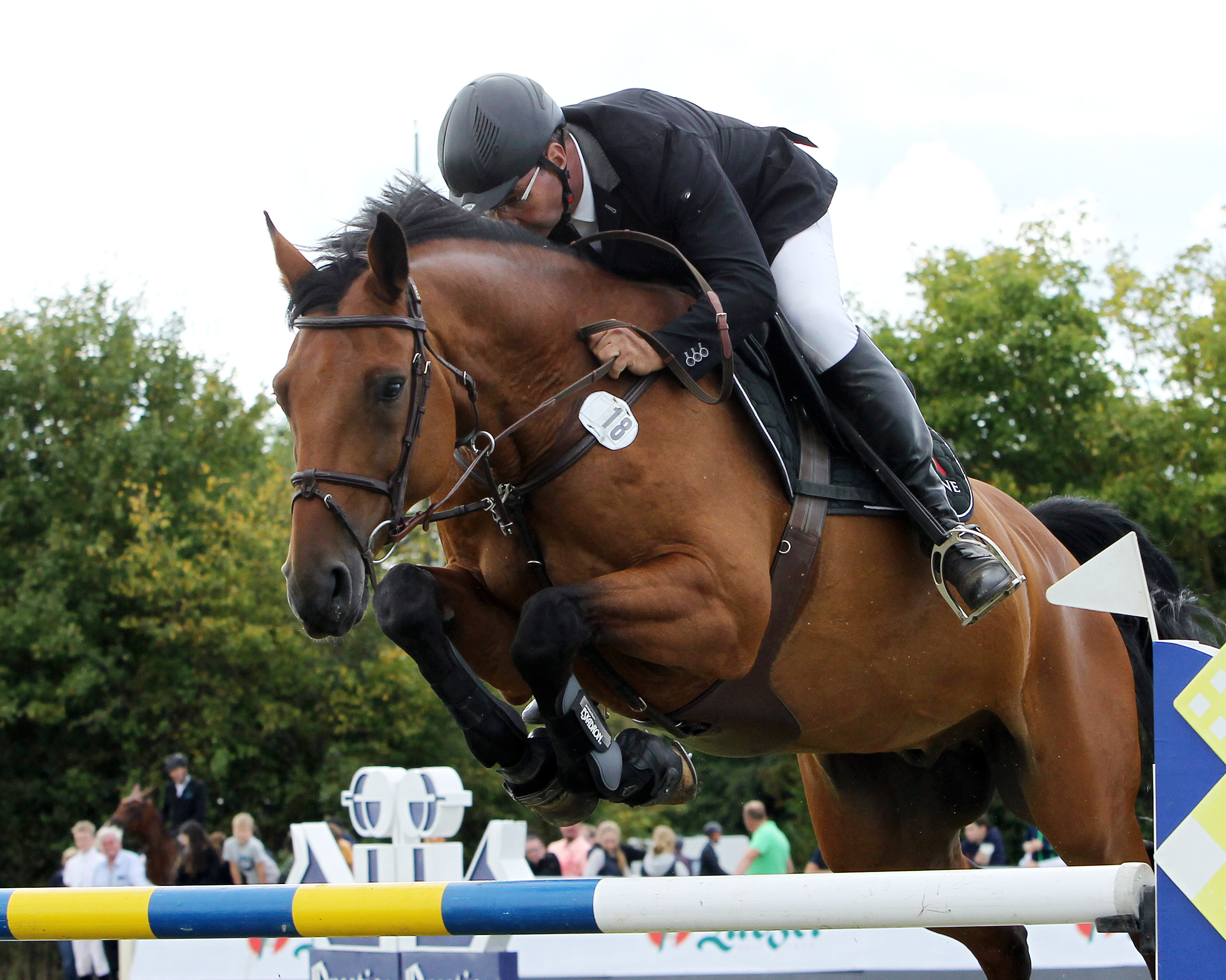 Der 56-jährige Olaf Jürgens aus Polzow gewann in Plöwen mit Bpritas Bay das Championat, ein Zwei-Sterne M-Springen. © Archiv Wego
