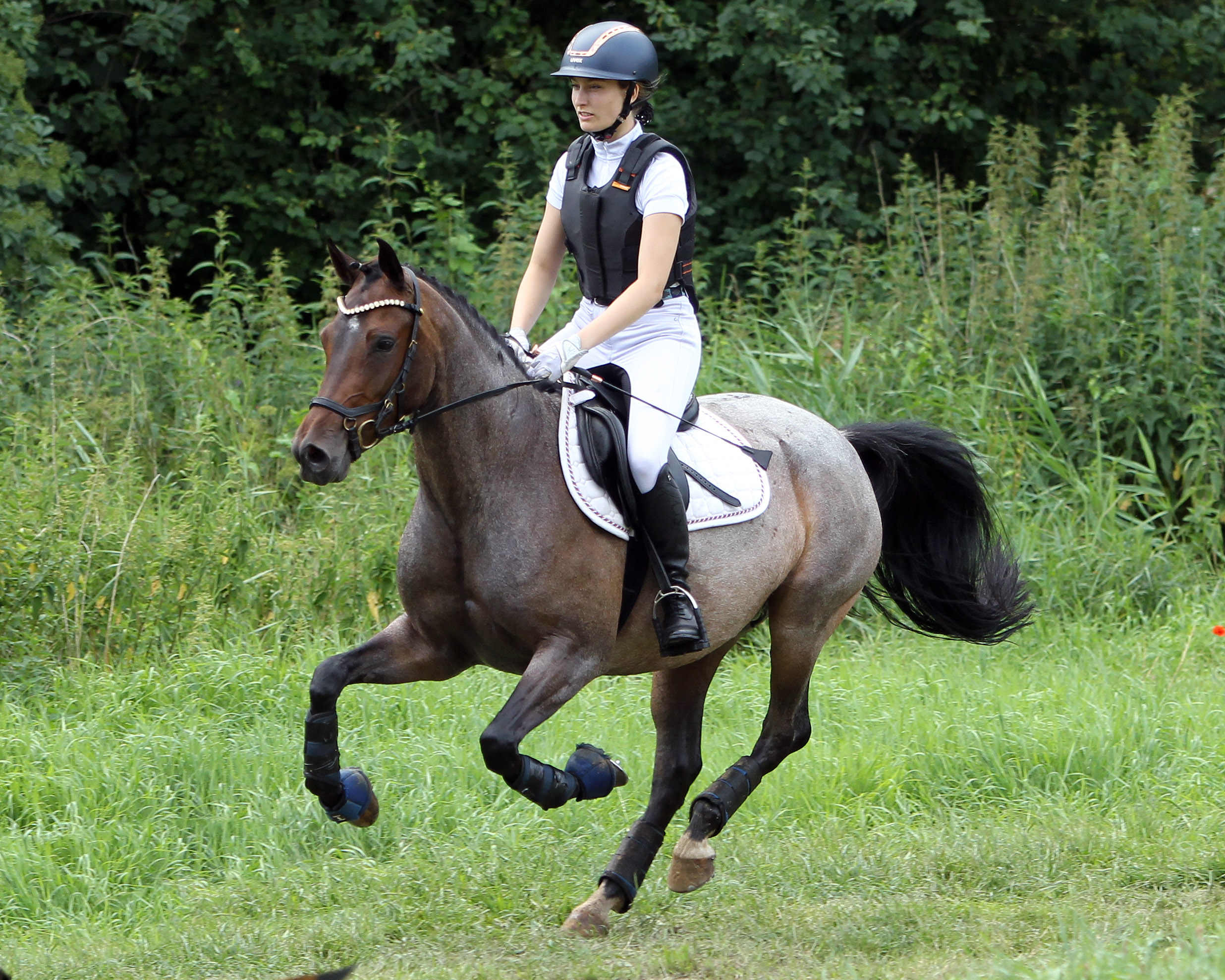 Die 6-jährig von Movie Star Tochter Marit F lieferte bei den Vielseitigkeitsponys mit Nike Sophie Forler auch in diesem Jahr sehenswerte Runden. © Jutta Wego