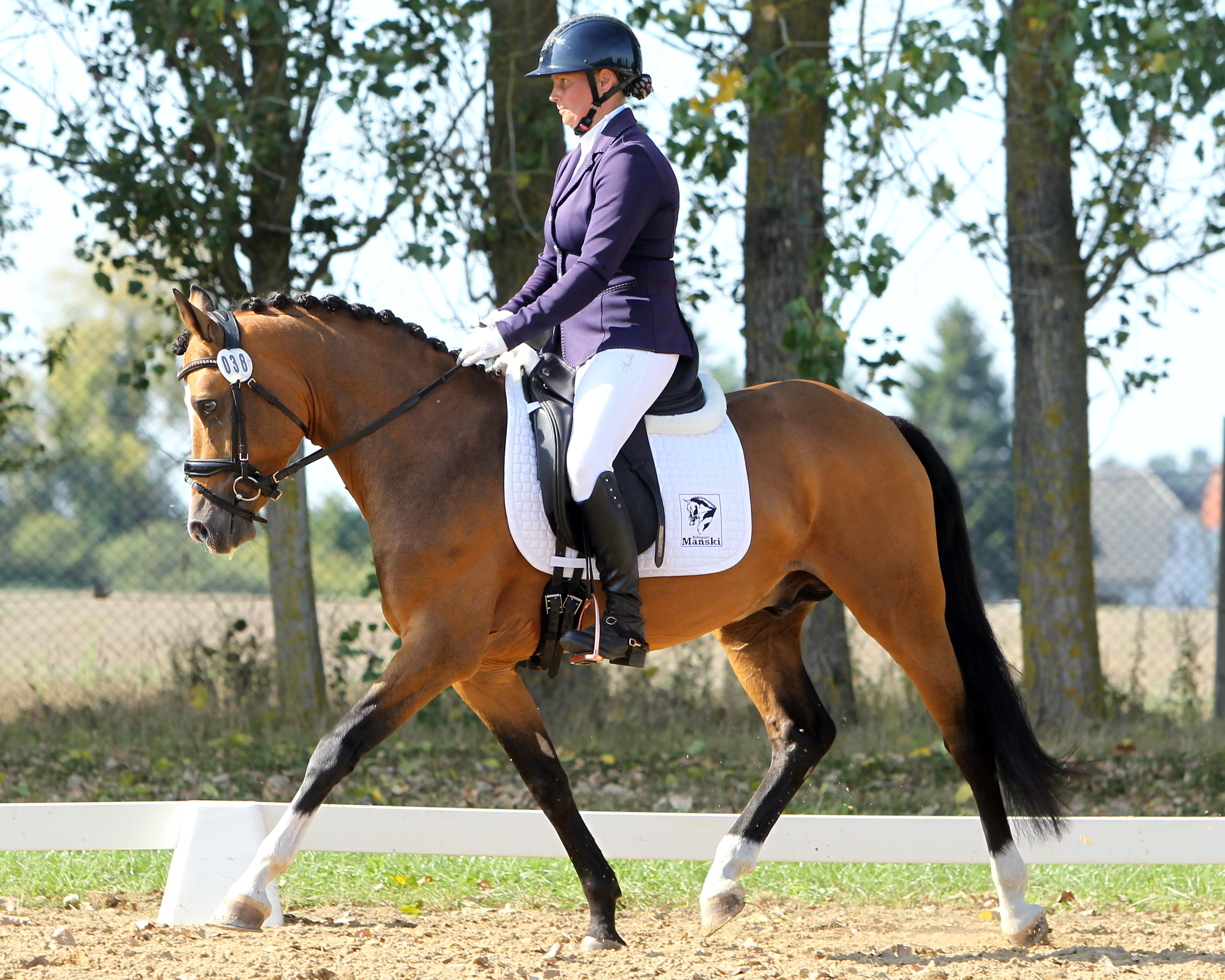 Jana Behning (Zingst) gewann auf dem 6-jährigen Hengst Diamant Dynasty die A-Dressur A6. © Jutta Wego