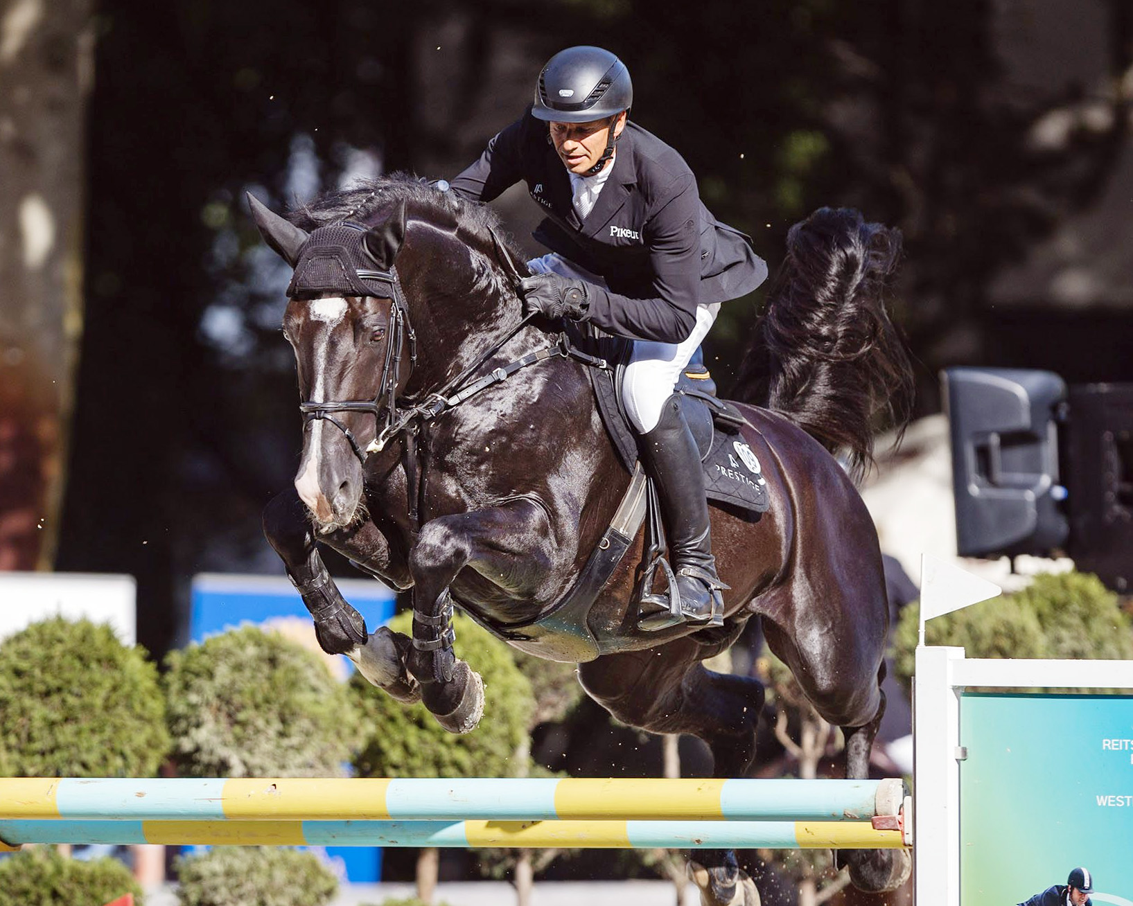 Marco Kutscher hat mit seinem erst neunjährigen Wallach Outrageous Charmer den Großen Preis von Paderborn gewonnen. © Johanna Milse