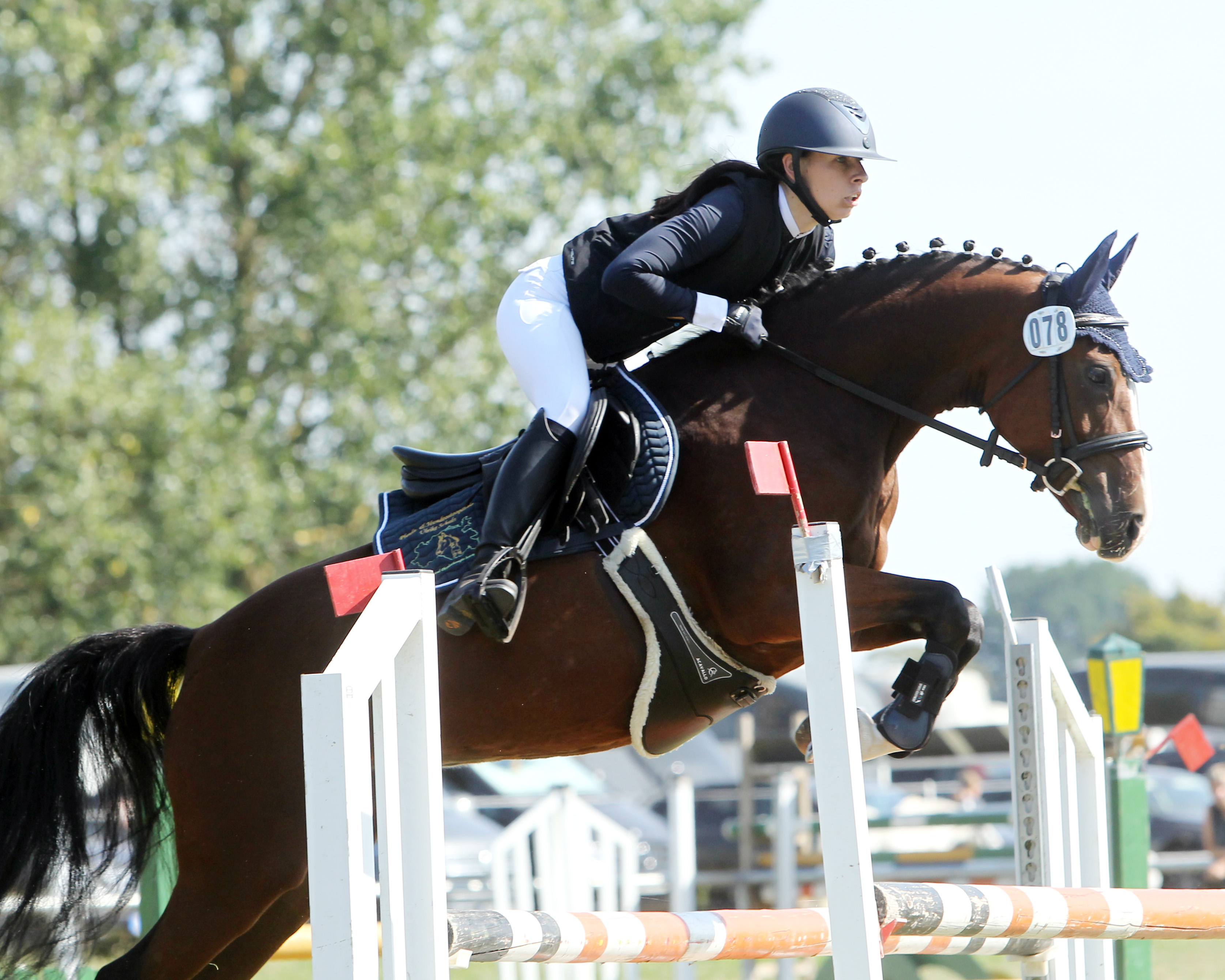 Die 5-jährige Stute Nami-RP von Nancho’s Golden Star / Mustang (Z.: Rico Pilz, Plaaz) wurde mit Anna-Lena Finck Landeschampioness bei den Springponys. © Jutta Wego