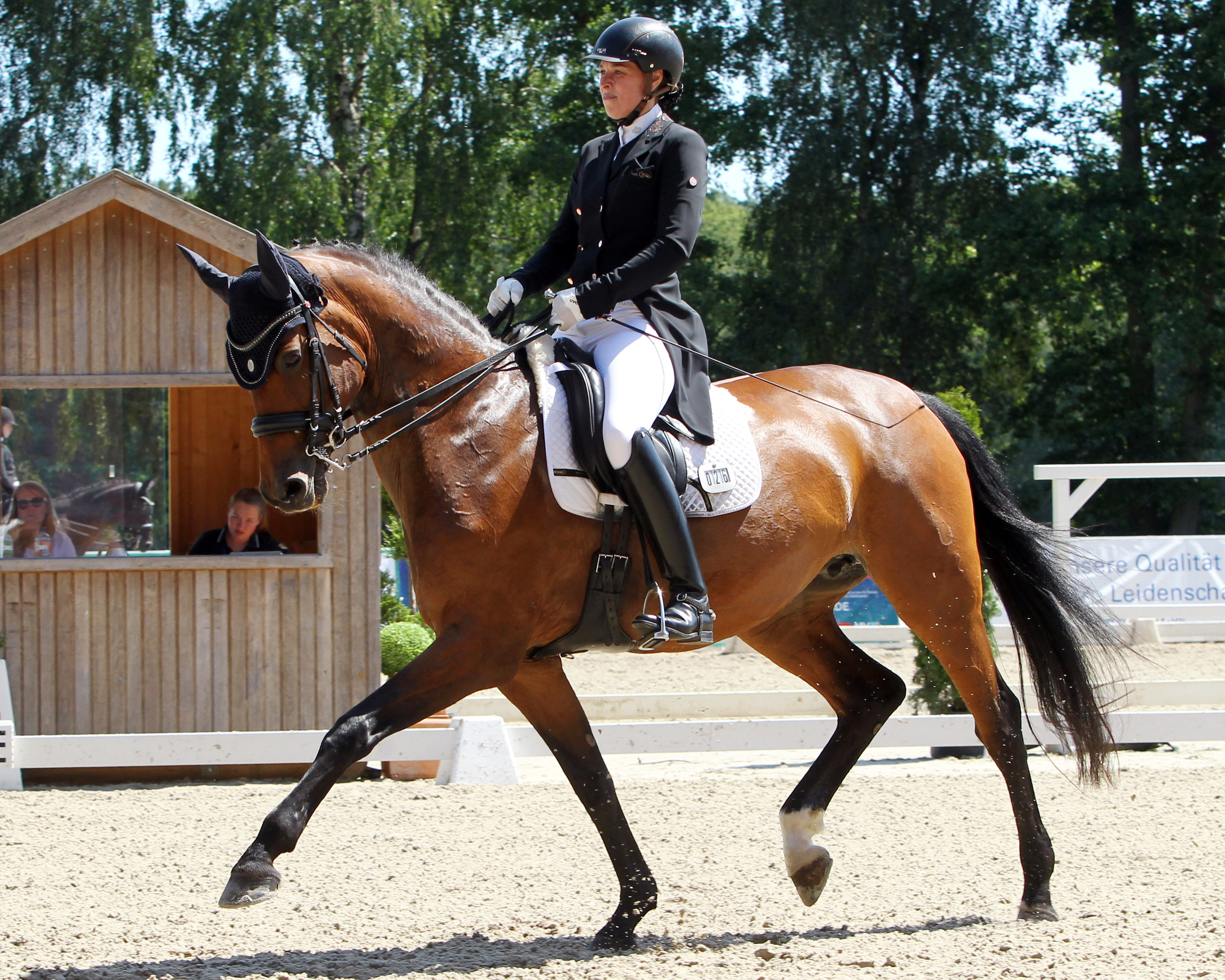 In der M-Dressur gab es für Ina Schmidt aus Besenthal, die für Valluhn reitet, den 2. Platz mit Wertnote 7,4 auf Charming Casira. © Archiv Wego