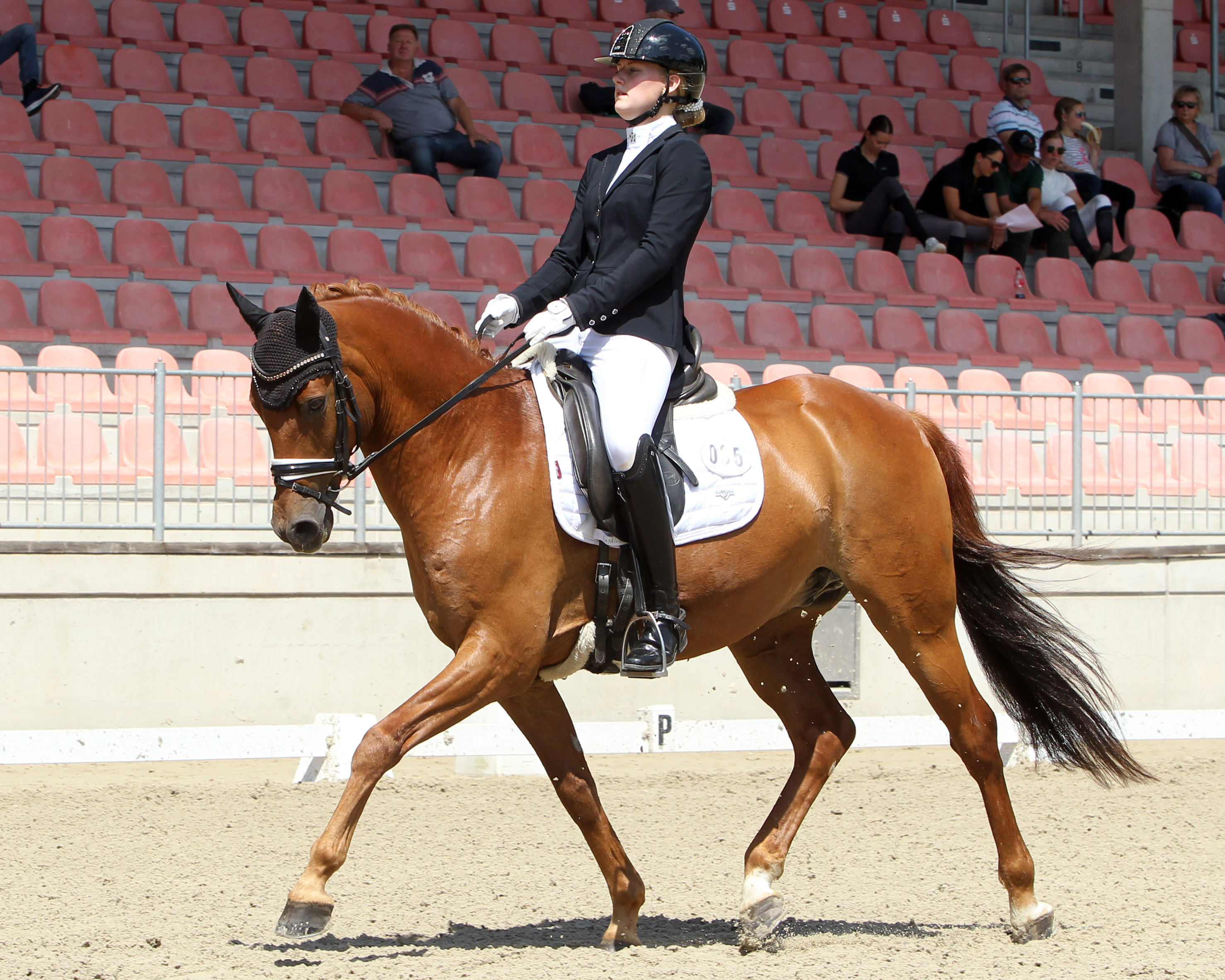 Beide L-Dressuren in Crivitz hat Larissa Bohnstedt (Plau) wenige Tage vor ihrem 17. Geburtstag auf dem Pony Constantini gewonnen. © Archiv Wego
