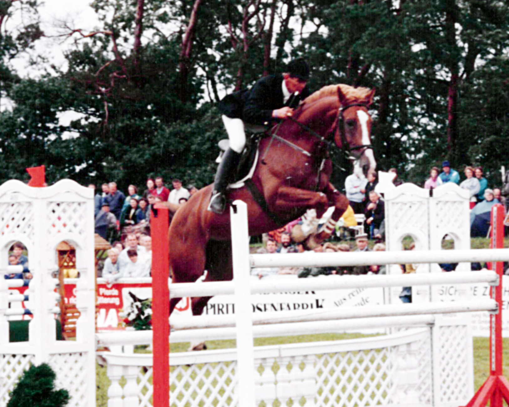 Günter Till im Jahre 1991 bei seinem Sieg im Großen Preis auf Kai beim ersten MAT-Turnier in Mühlengeez. © Jutta Wego