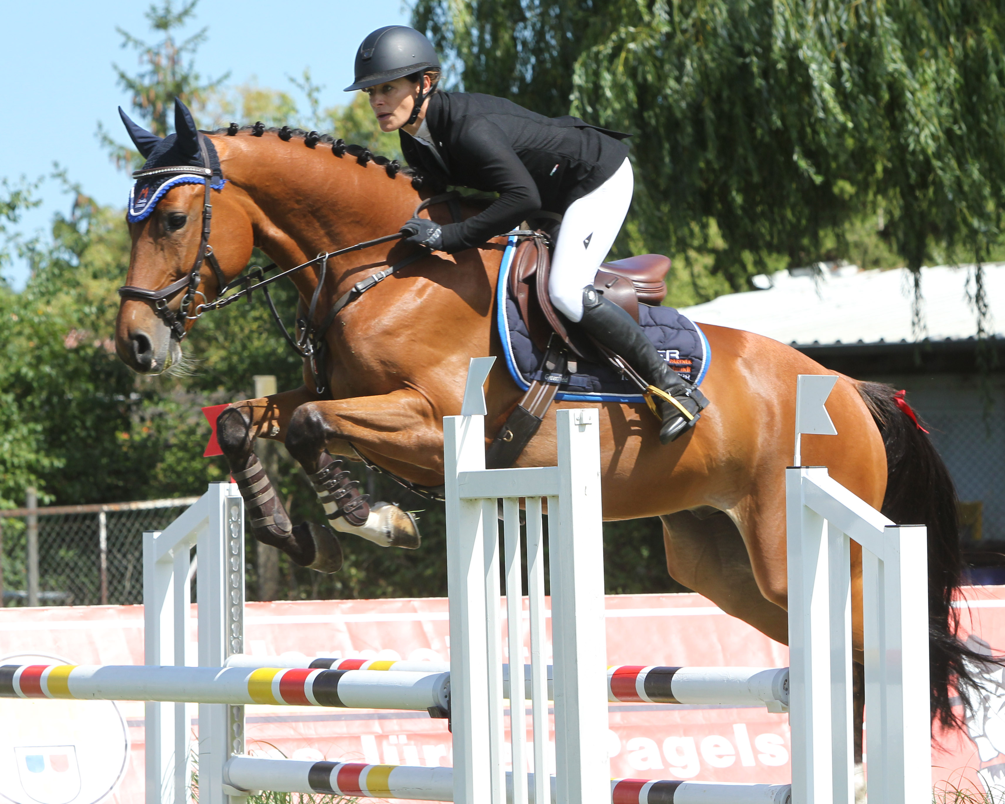 Kathrin Wiedmer (Hof Redentin) gewann mit dem 5-jährigen Magnus (v. Million Dollar) eine Zwei-Sterne Springpferdeprüfung Klasse A in Havekost. © Archiv Wego