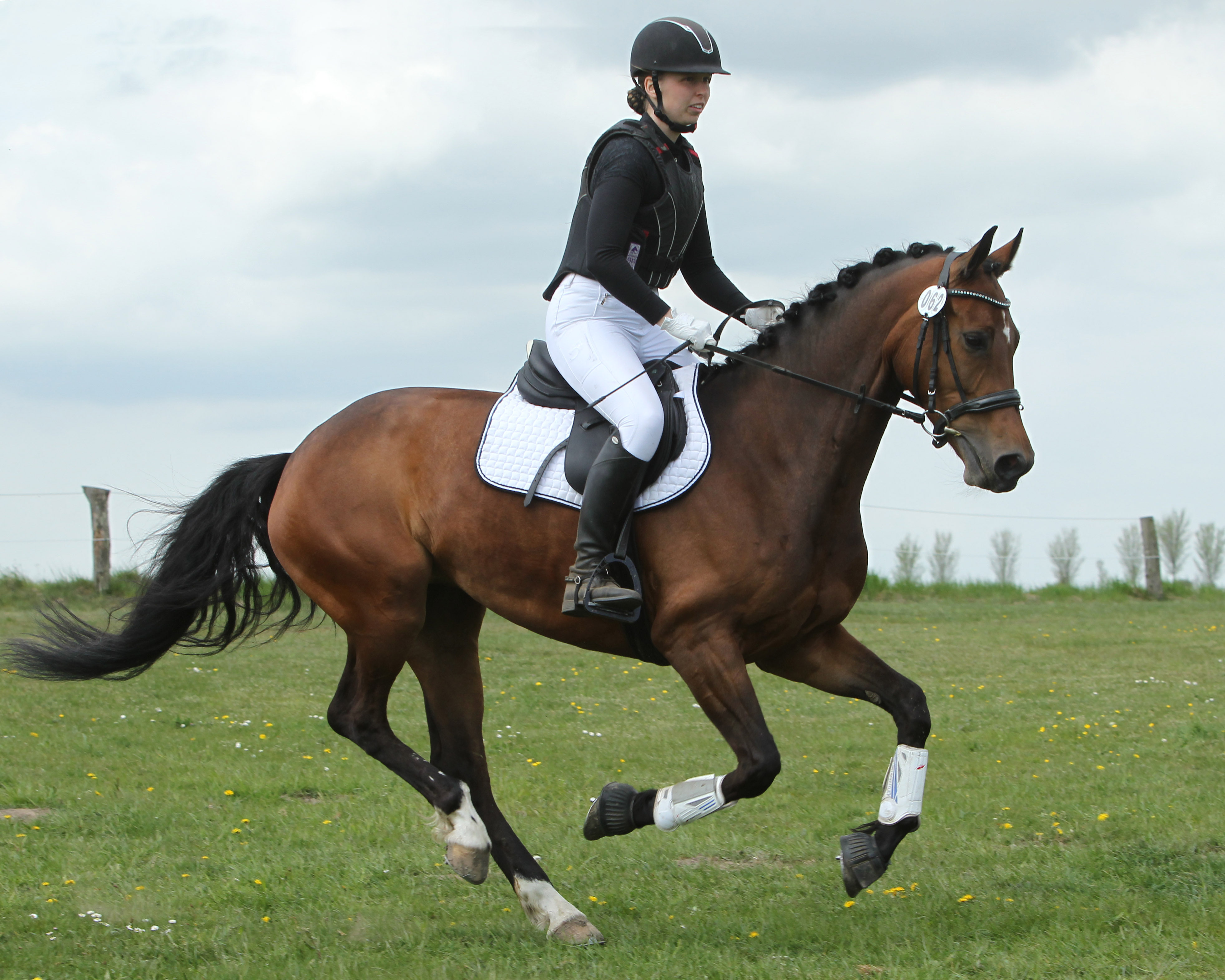 Die 26-jährige Anne-Marie Weckwerth holte sich mit Platzierungen in allen 3 Teilprüfungen auf der Stute Dolina La Diva (Sieg im Stilspringen) den 2. Platz im Kombinierten Wettbewerb in Berlin-Maifeld. © Archiv Wego