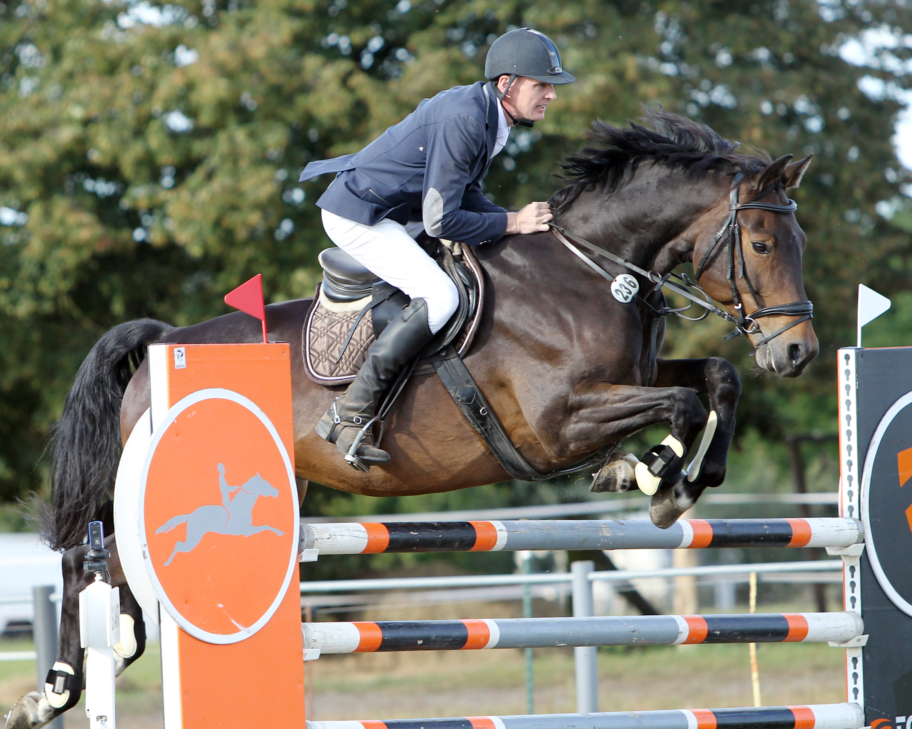 Das Punktespringen Klasse M am Samstag entschied Andreas Wulf (Liebenthal) auf dem 16-jährigen Landmann für sich. © Jutta Wego