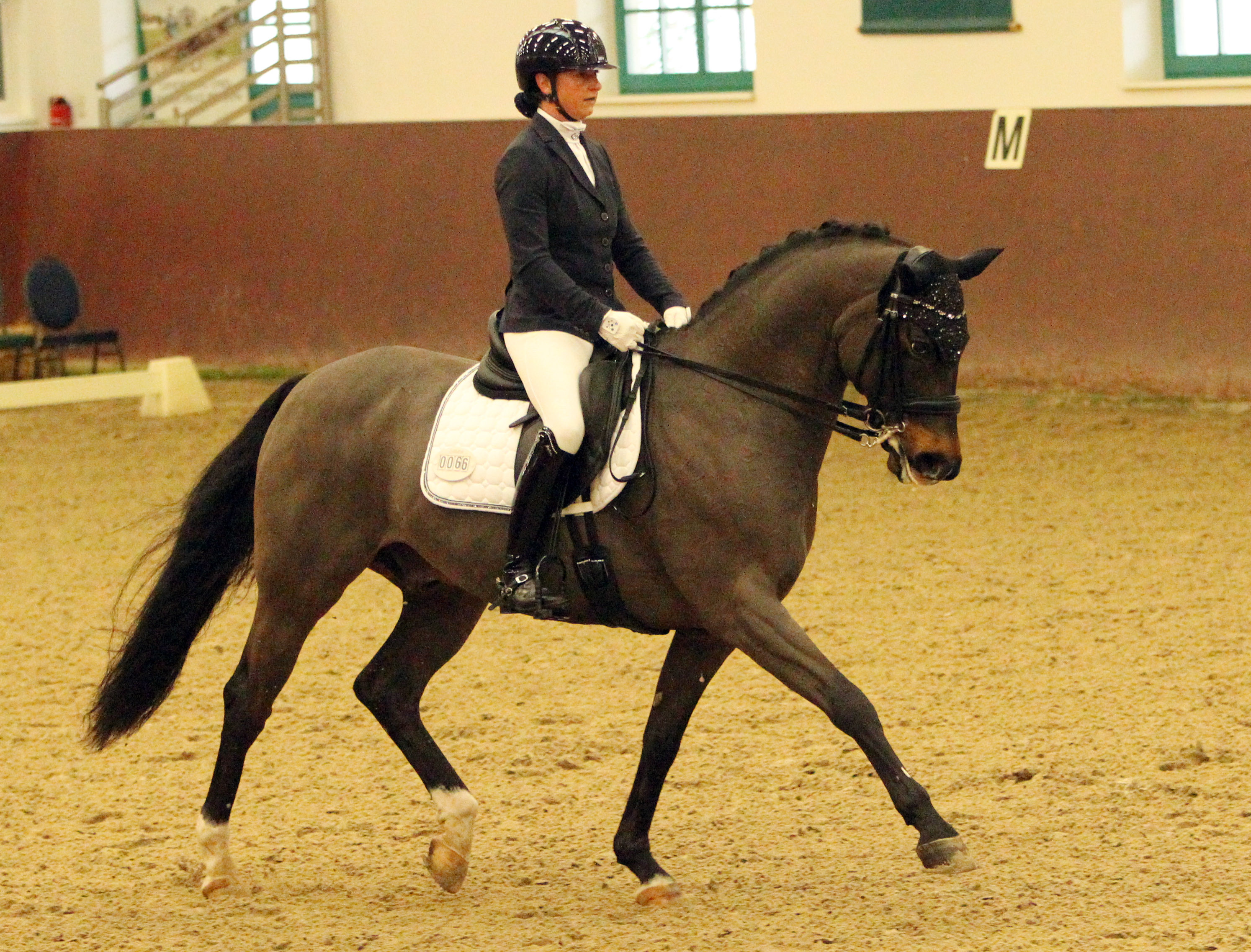 Die 38-jährige Susanne Voß gewann in der Güstrower Cavallo-Arena die S-Dressur. Es war der 9. S-Sieg mit dem 14-jährigen Sancisco-Sohn San Amour. © Archiv Wego