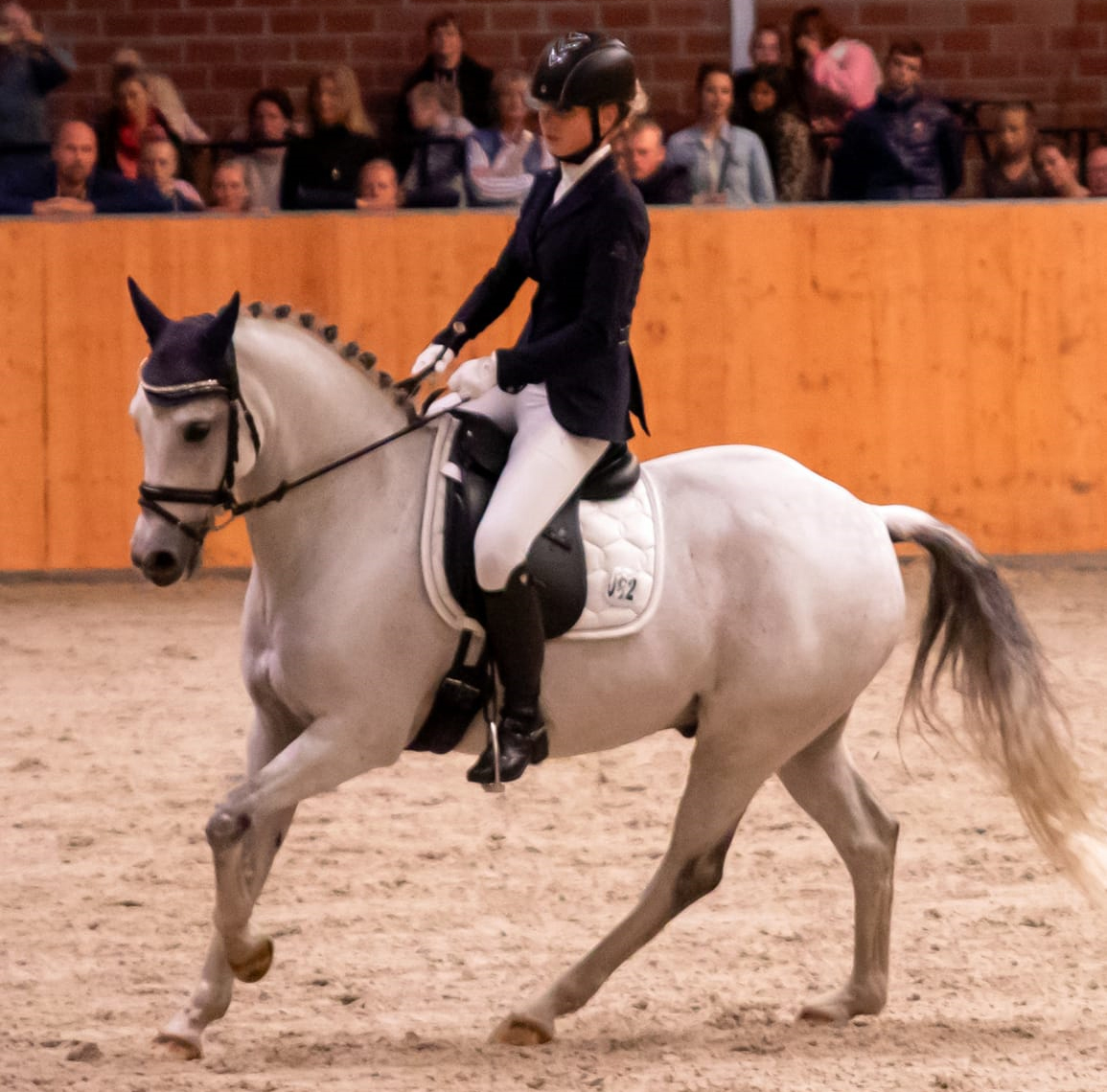 Das Finale im NÜRNBERGER BURG POKAL der Junioren von Mecklenburg-Vorpommern gewann die 15-jährige Pauline Linde mit dem 10-jährigen Pony Gatsby (Züchter: Elke & Armin Spierling, Neuenkirchen). © KaLo