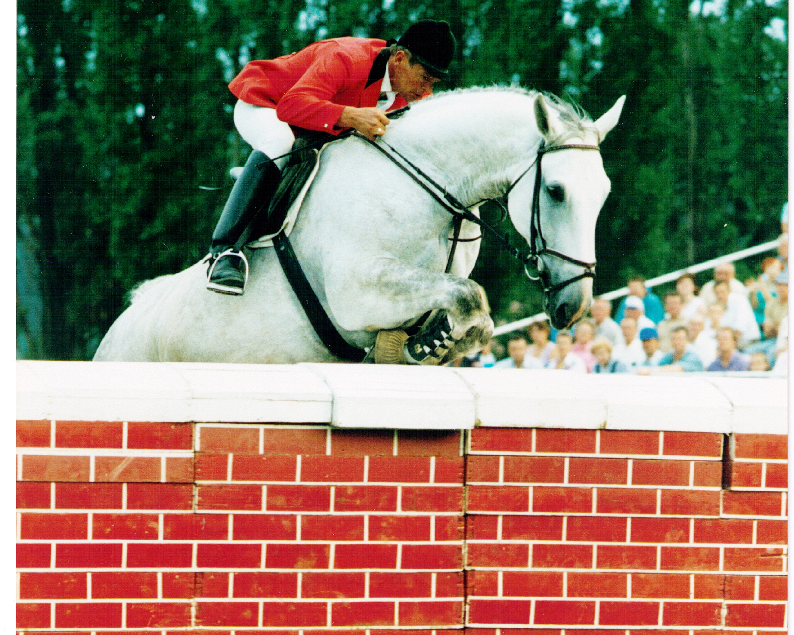 Günter Till im Jahre 1987 in Löbnitz beim Überwinden der Mauer im Mächtigkeitsspringen mit dem damals 10-jährigen Kosak (vom Komet-Sohn Kosmos I). © Mihatsch