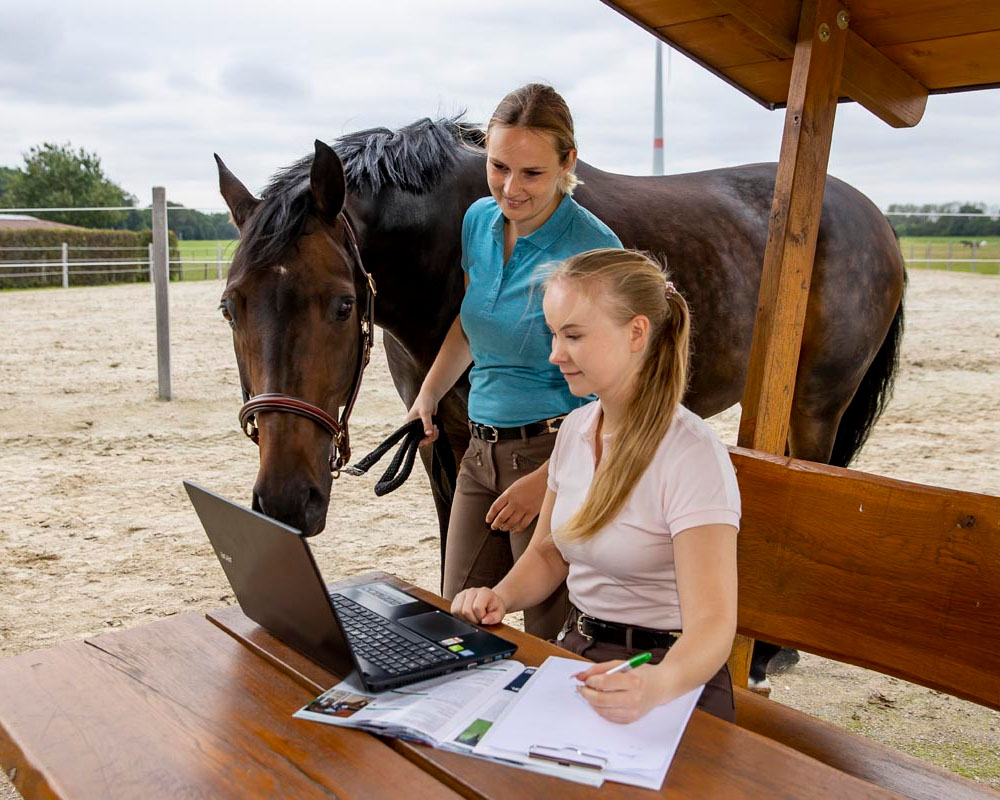 Online-Seminare gehören zum umfassenden Veranstaltungsangebot der Persönlichen Mitglieder der FN. Foto: Stefan Lafrentz/FN-Archiv