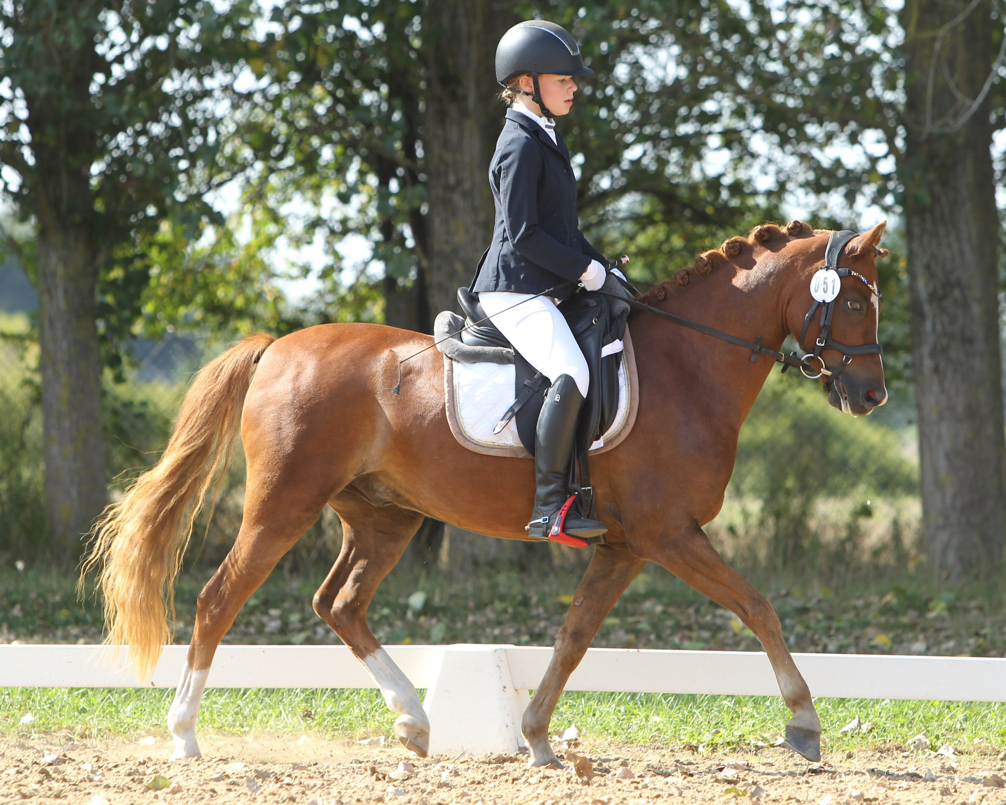 Die 14-jährige Linja Kleinfeld aus Poel wurde mit zwei Dressur-Siegen auf Calinera Kreismeisterin bei den U18 Reitern und mit Espentijn's Mister Dorian (Foto) bei den U25 Reitern. © Archiv Wego