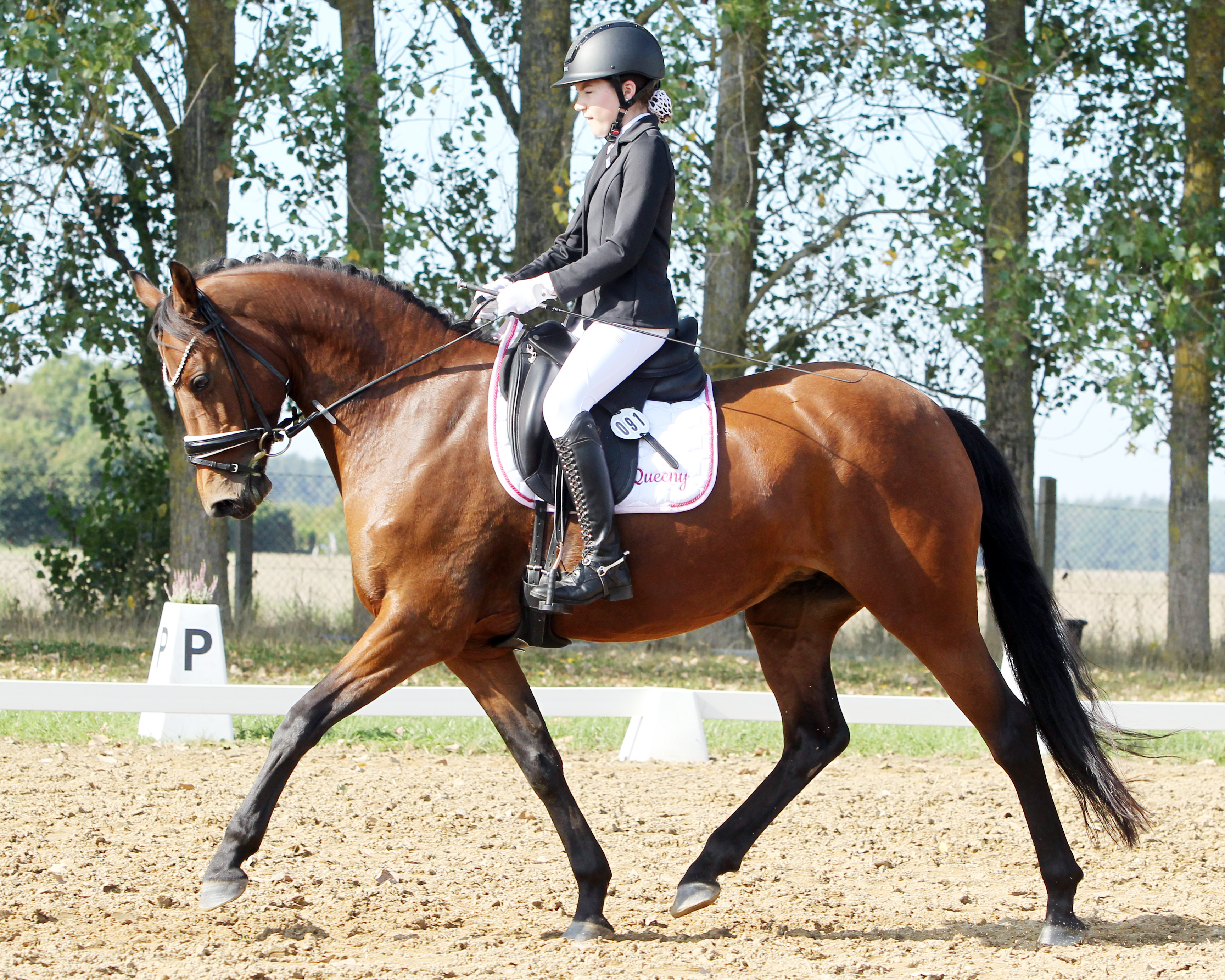 Den Dressur-WB gewann Carlotta Plambeck vom Gastgeber Poseritz auf der Ponystute Queeny. © Archiv Wego