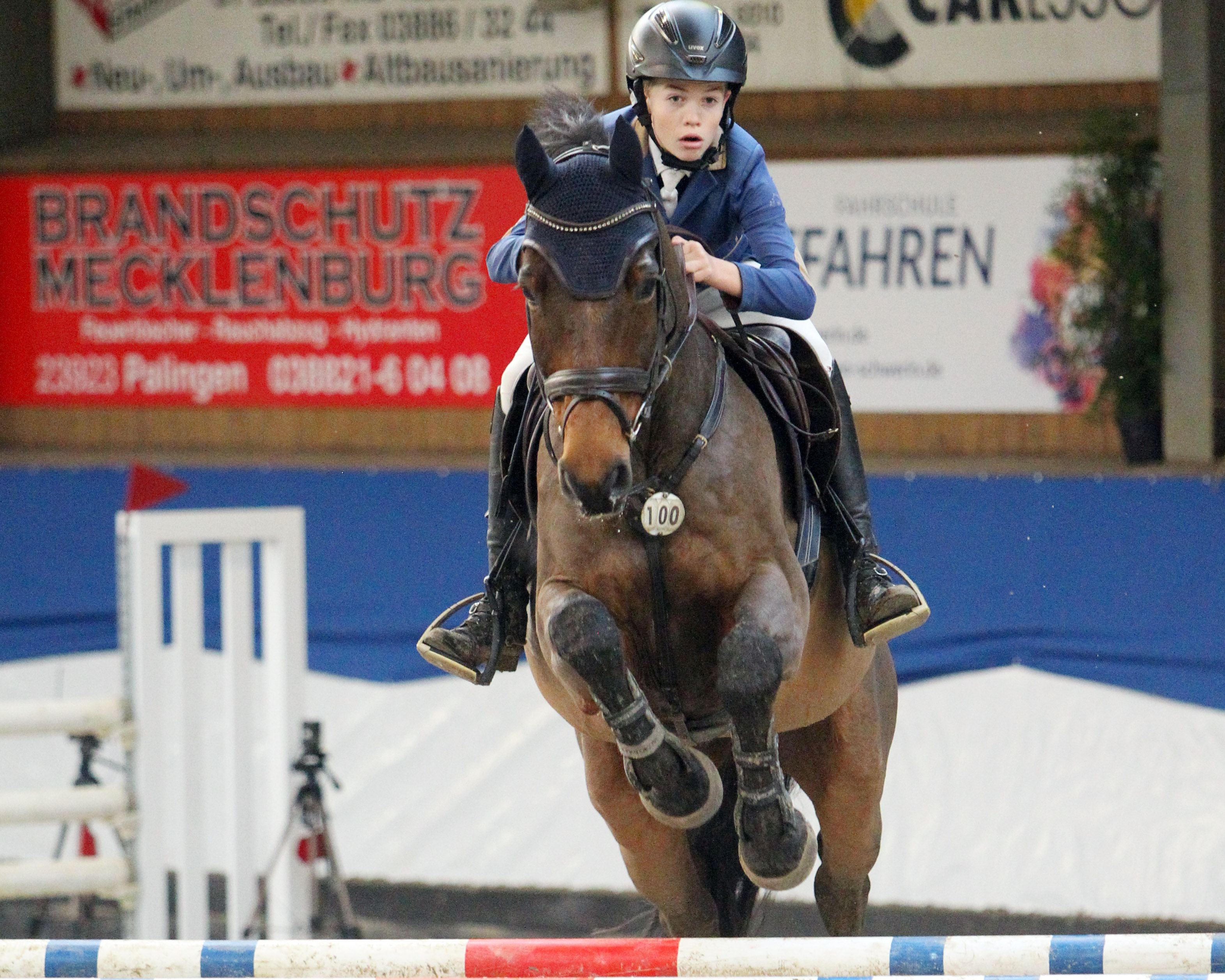 Fritz Michel Horn aus Groß Schwansee, erst 13 Jahre alt und zu einer sehr erfolgreichen Reiterfamilie gehörend, hat am Samstag in Negernbötel mit Latigo sein erstes M-Springen gewonnen. © Archiv Wego