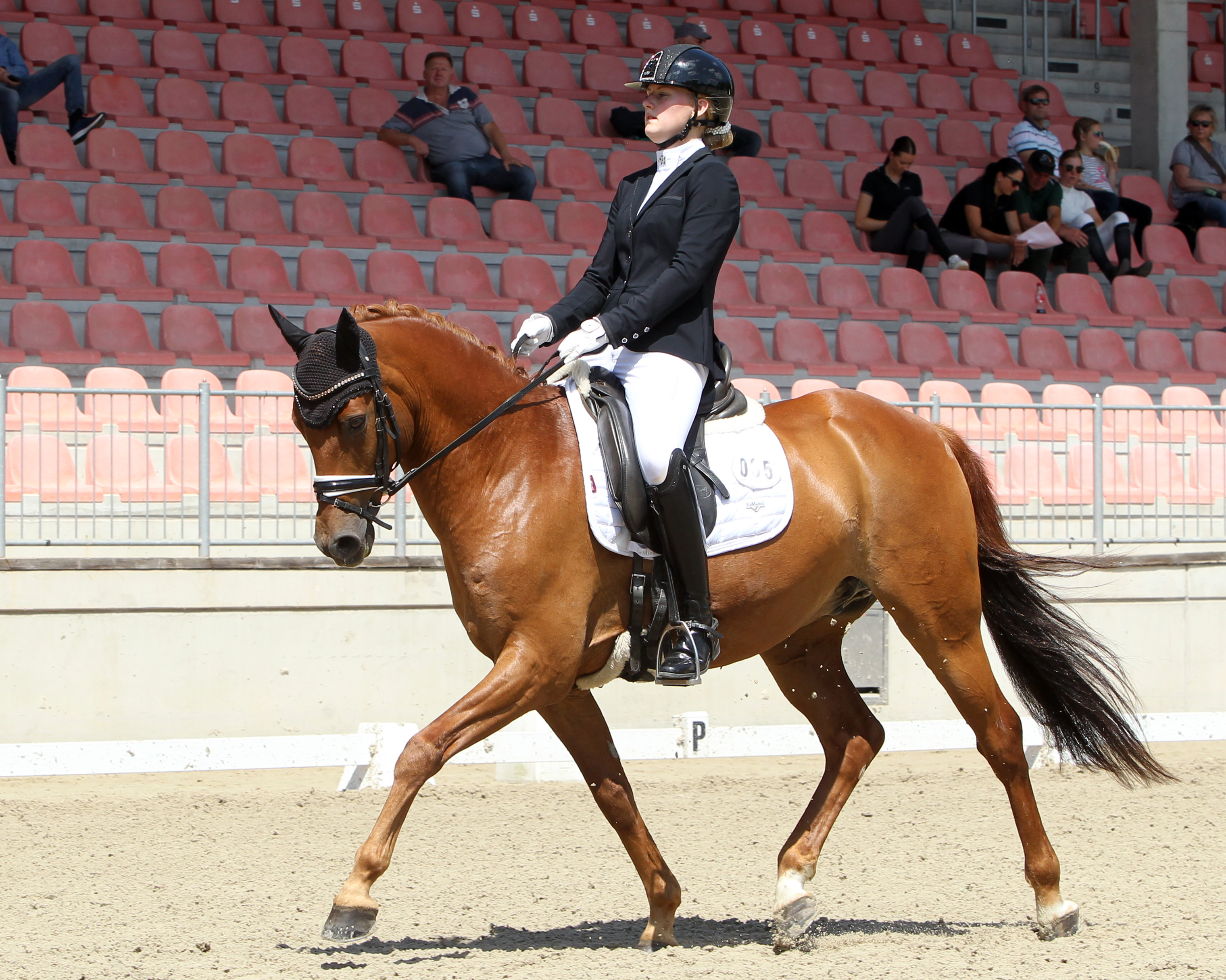 Sieg Nummer 8 für Mecklenburg-Vorpommern holte Larissa Bohnstedt (Plau) mit dem Pony Constantino in der L-Dressur L8. © Archiv Wego
