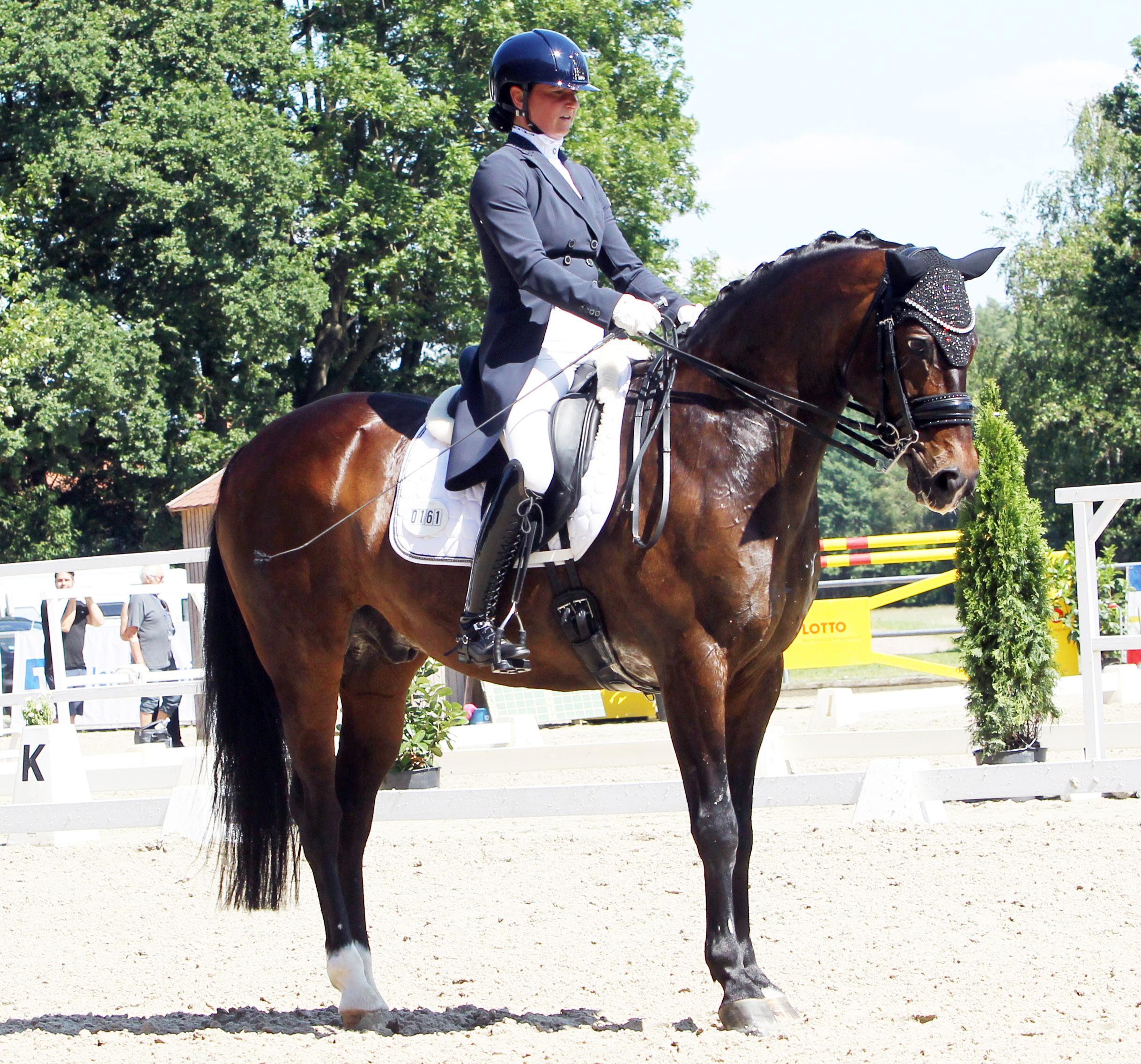 Den 2. Platz im Ranking der Mecklenburger Dressurpferde nimmt der 14-jährige San Amour (Sancisco / Lord Kemm) ein, gezogen von Willi Elsner (Laage), der mit Susanne Voß (Güstrow) 1.979 Euro gewonnen hat. © Jutta Wego